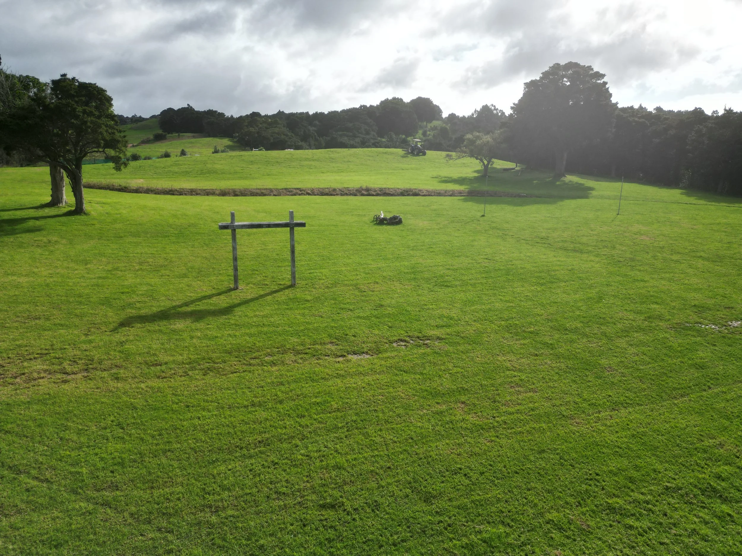 A lush green grassy field with trees scattered throughout, some in the foreground and others in the background on a small hill.