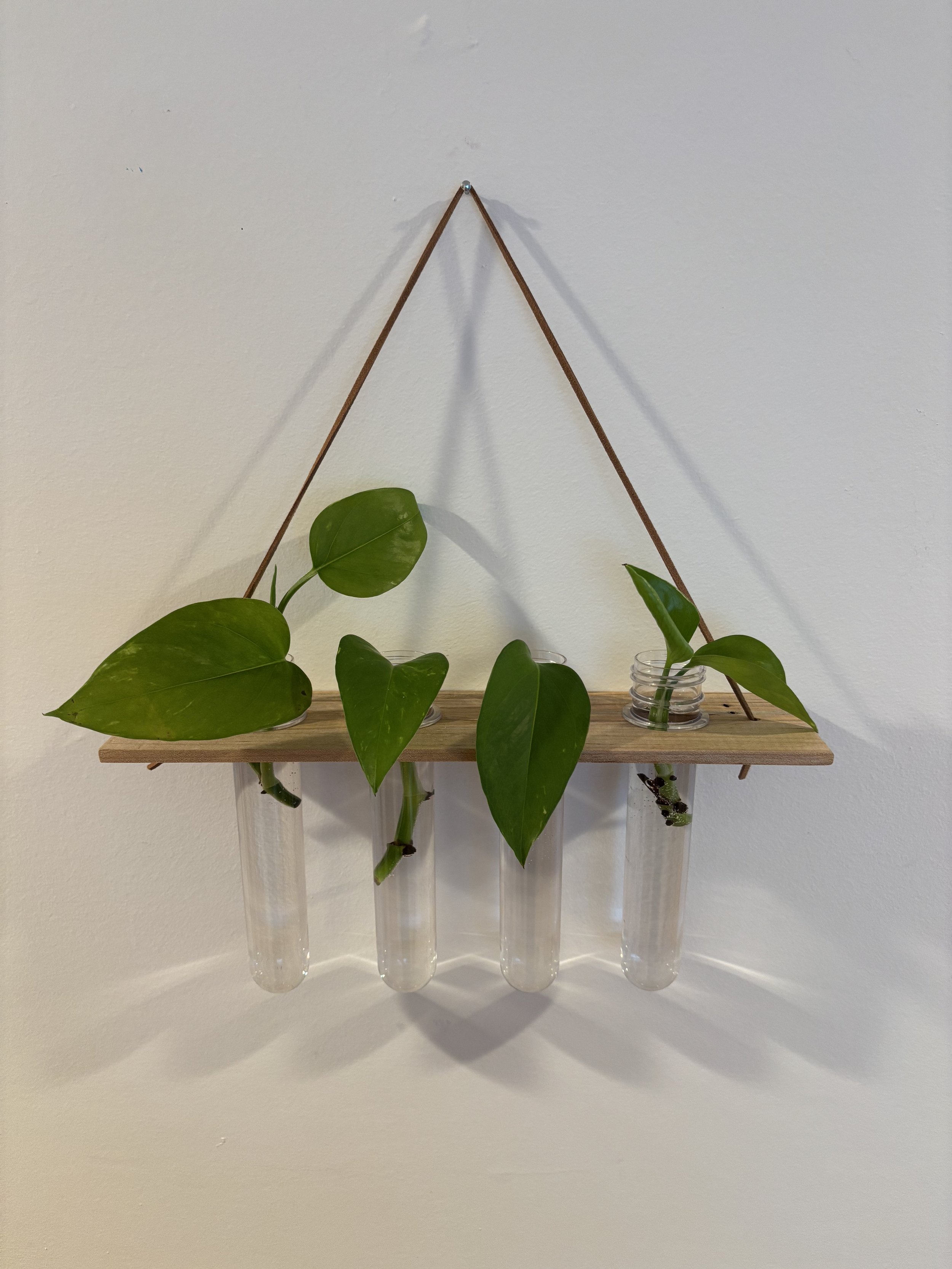 Plant Propagation Station
