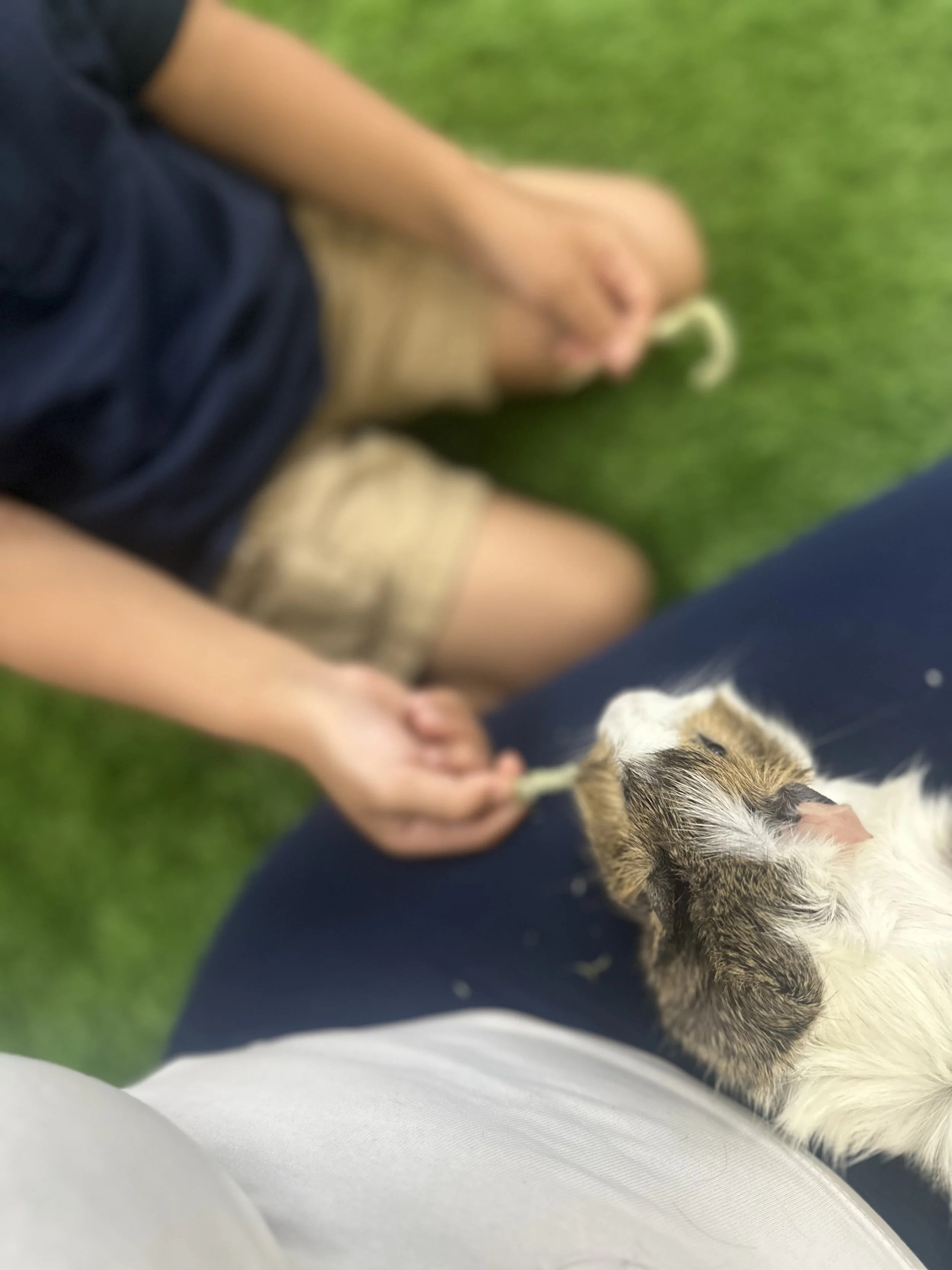 A person sitting on a green surface with a small dog lying next to them, both partially visible.