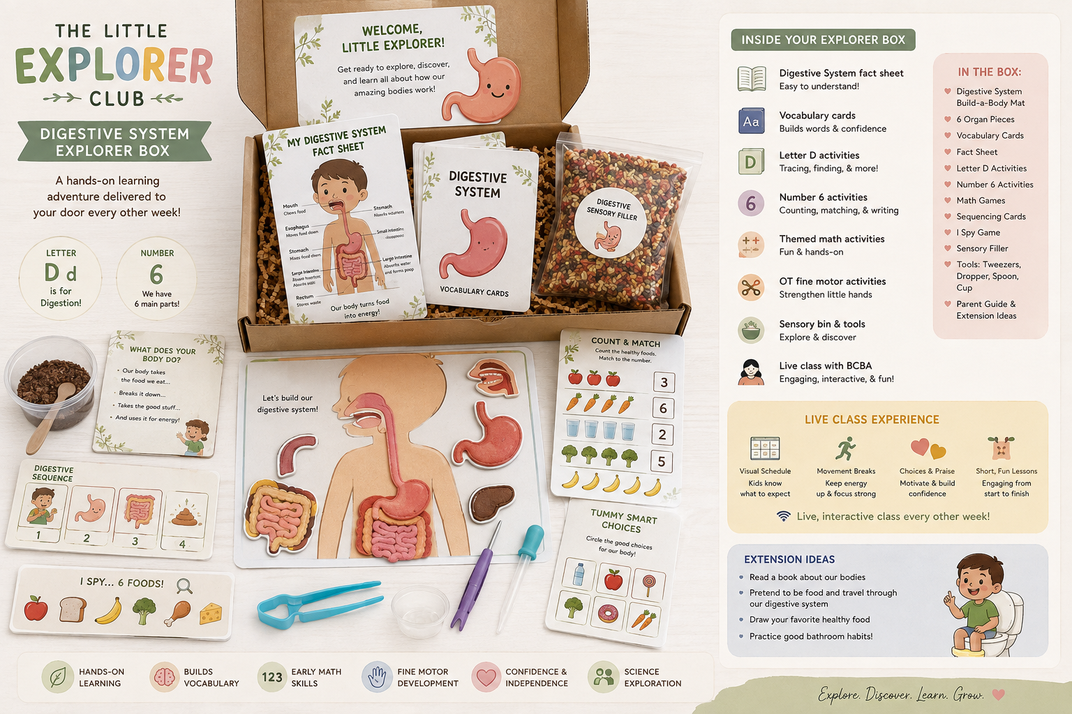 🫀 Digestion Detectives: Digestive System Explorer Box