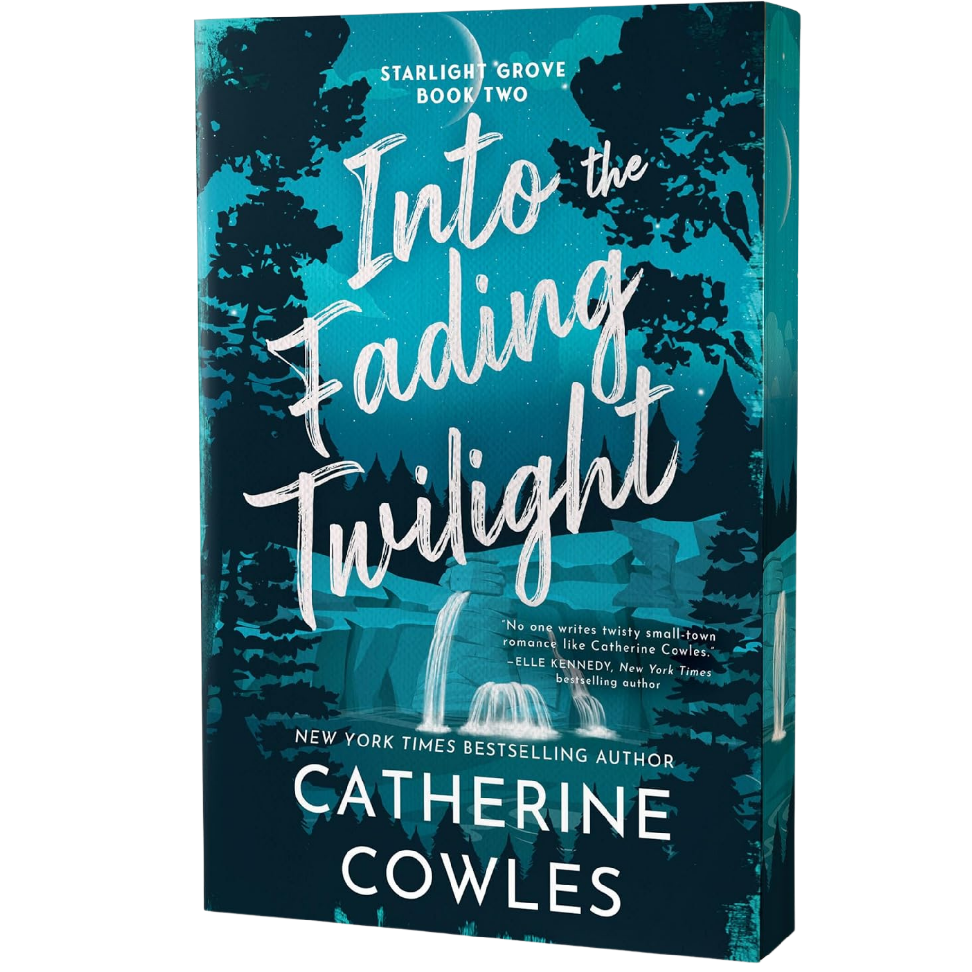 Into the Fading Twilight - Catherine Cowles