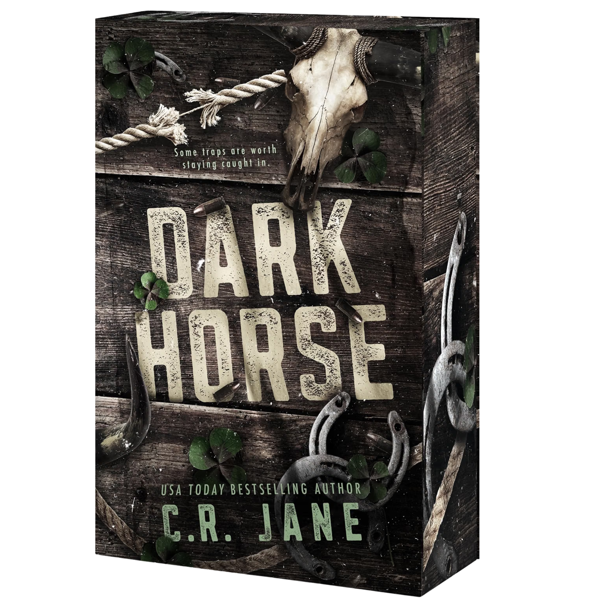 Dark Horse - C.R. Jane