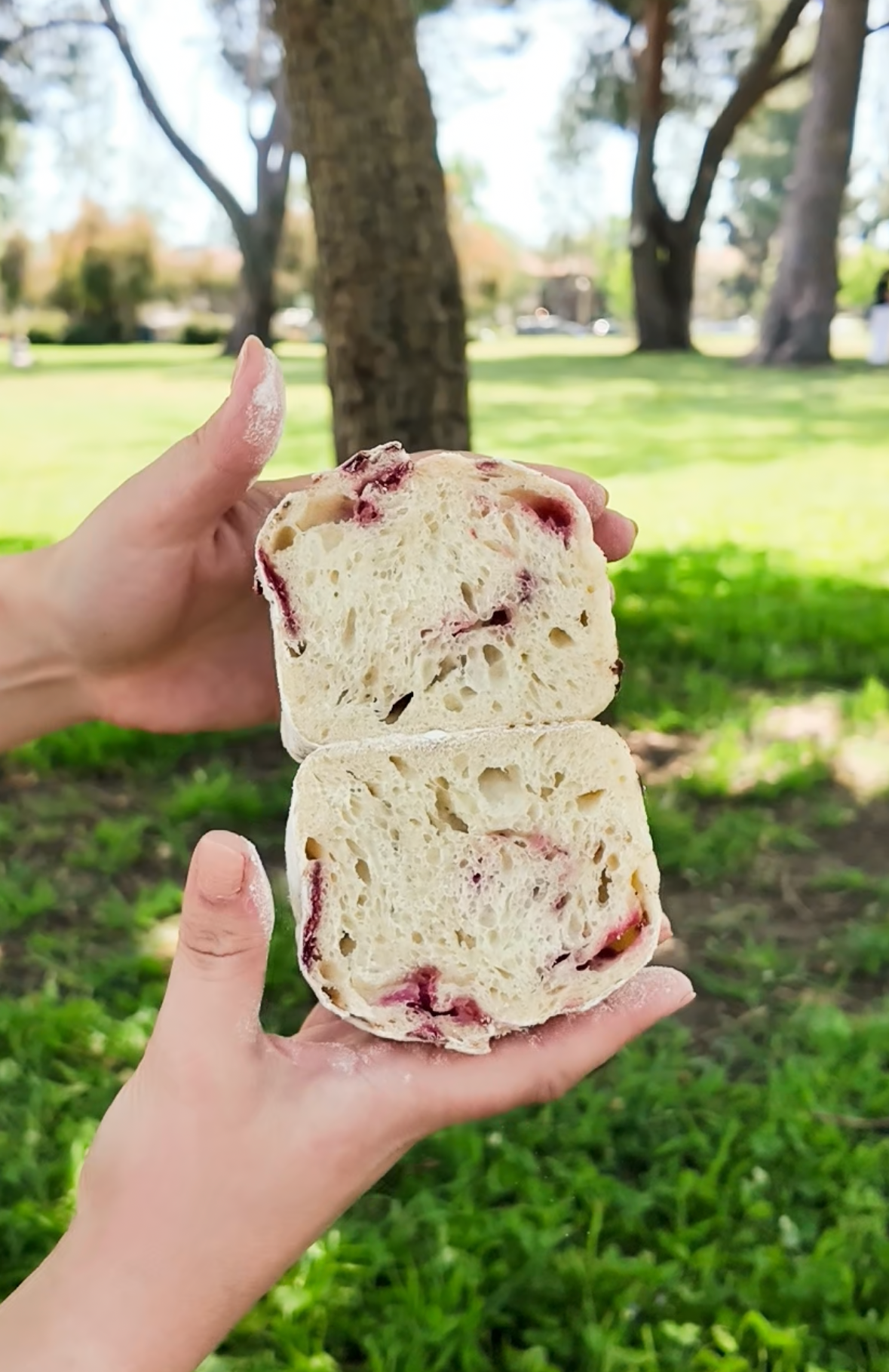 The Wild Raspberry Crumb
