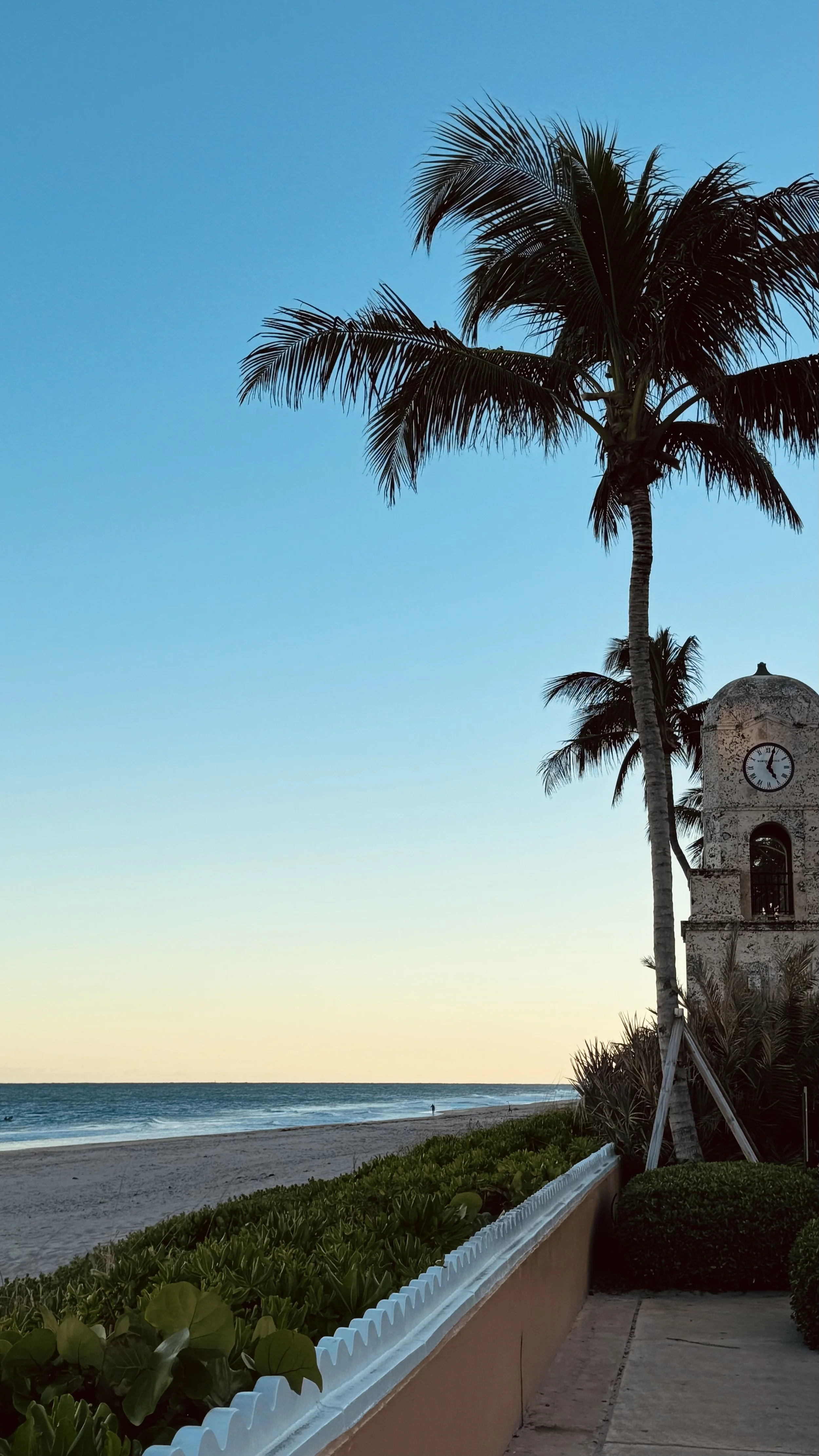 A beach scene at sunset with a palm tree, a clock tower, and the ocean in the background.