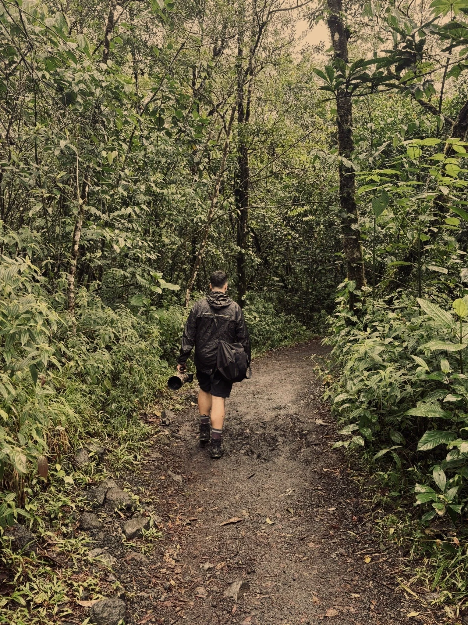 A person walking along a dirt trail through dense, green forest, carrying a camera and wearing hiking gear.