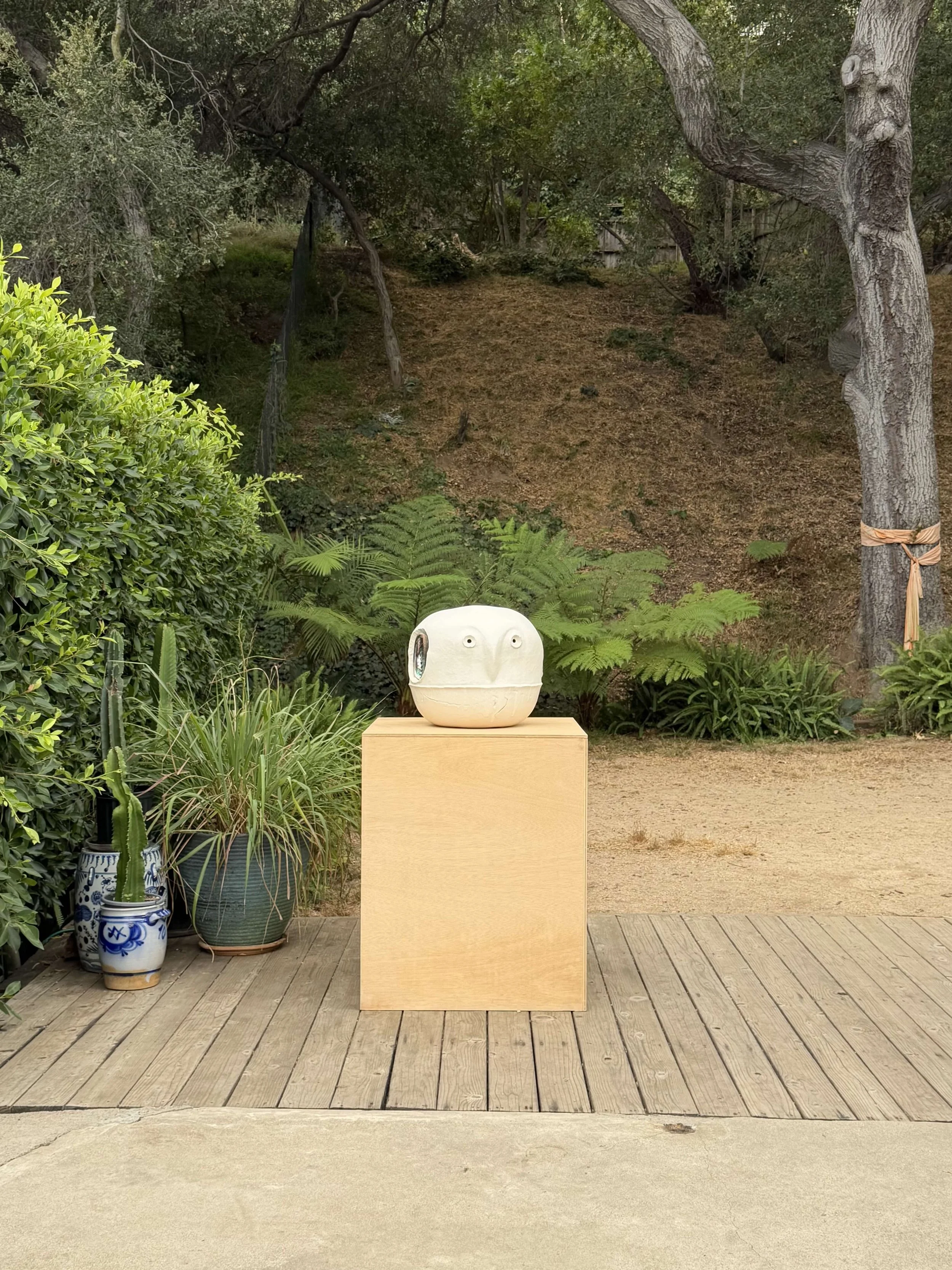 Alan Chin, Eyes to See, Ears to Hear