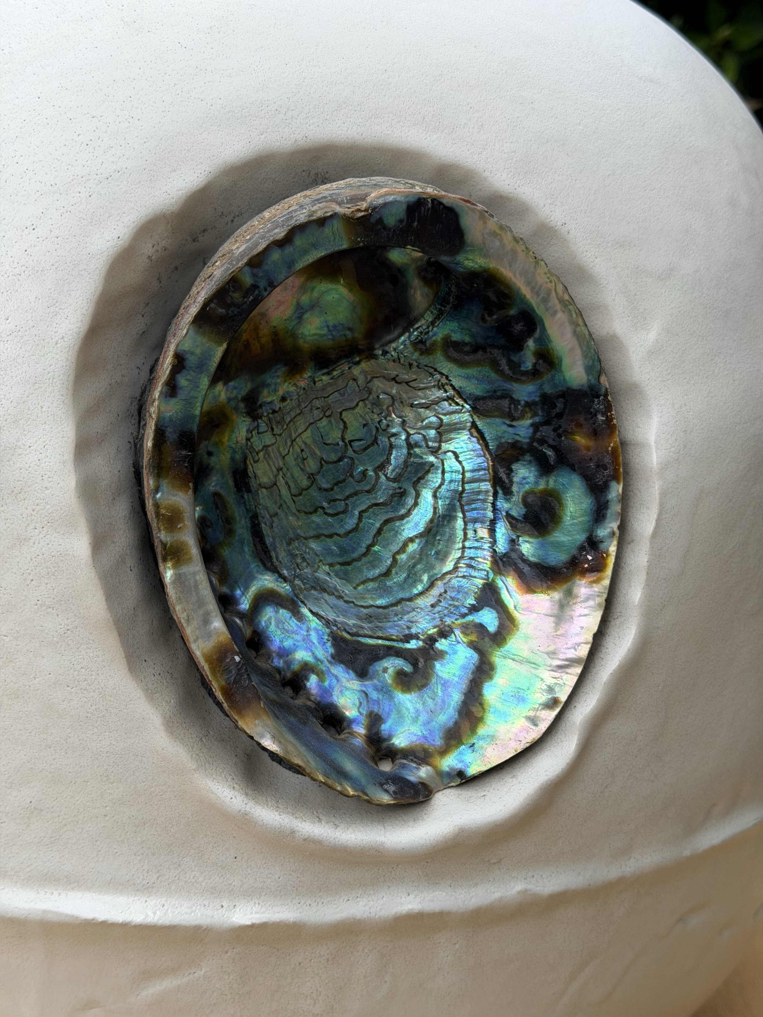 Abalone shell detail of Alan Chin's Eyes to See, Ears to Hear