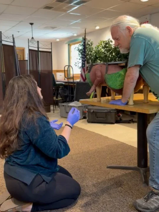 Last weekend, my sister, Jackie, my dear friend, Bri, and I had the privilege of learning from Dr. David Hayes via his Breech and Twin Essentials class. 2 full days of learning and simulations for hands on skills, bringing the information into tactil