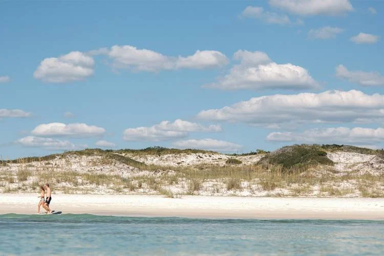 Person walking along the shoreline of a sandy beach with dunes and grass, blue sky, and fluffy clouds.