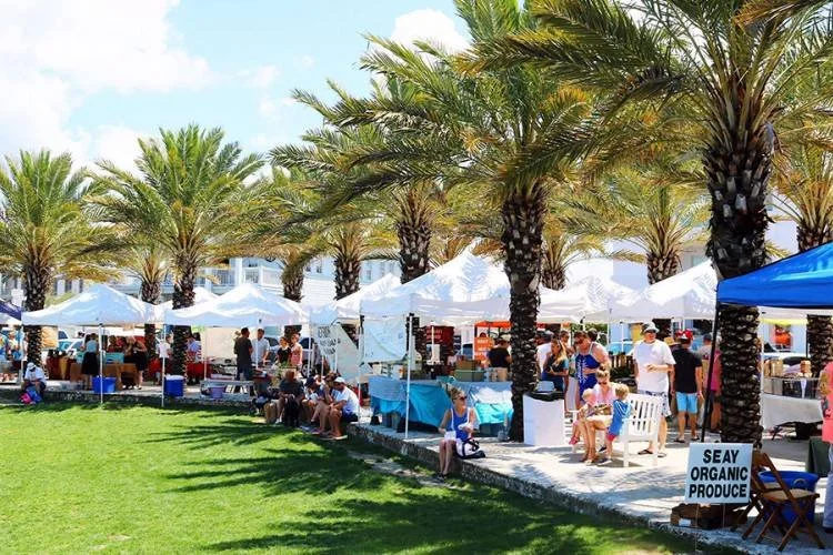 Outdoor farmers market with white tents, palm trees, and people shopping and sitting in a park on a sunny day.