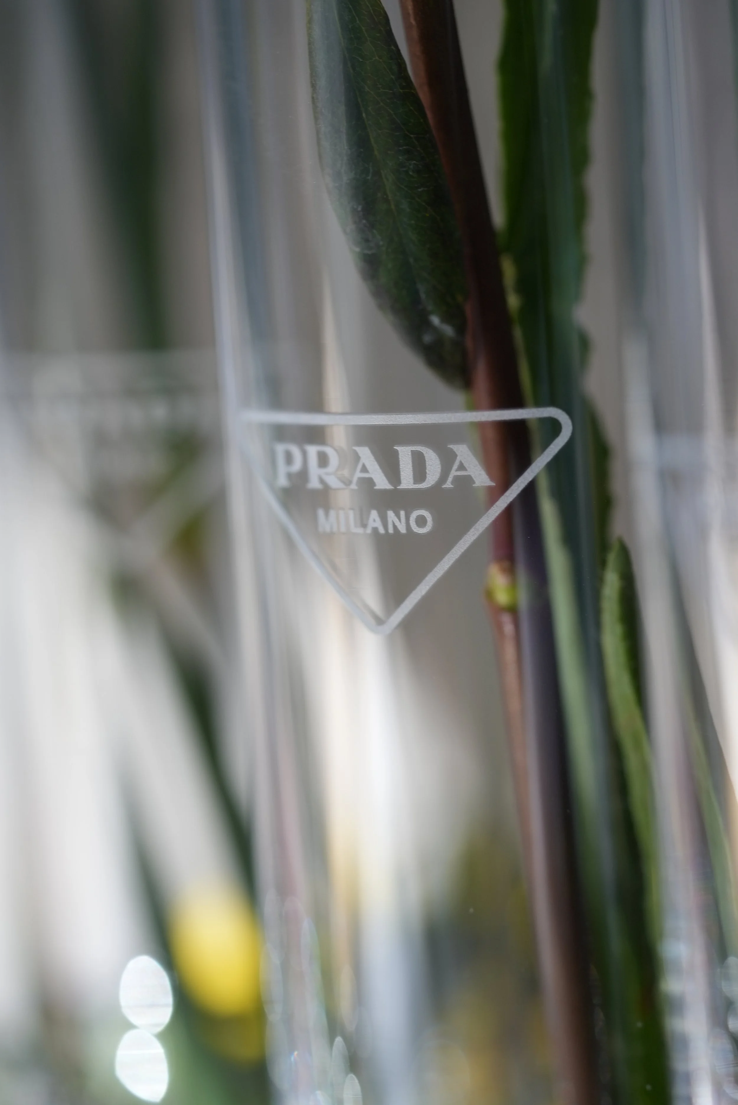 Close-up of a Prada Milano window display featuring glass shelves with plants and flowers, with the Prada logo on the glass.