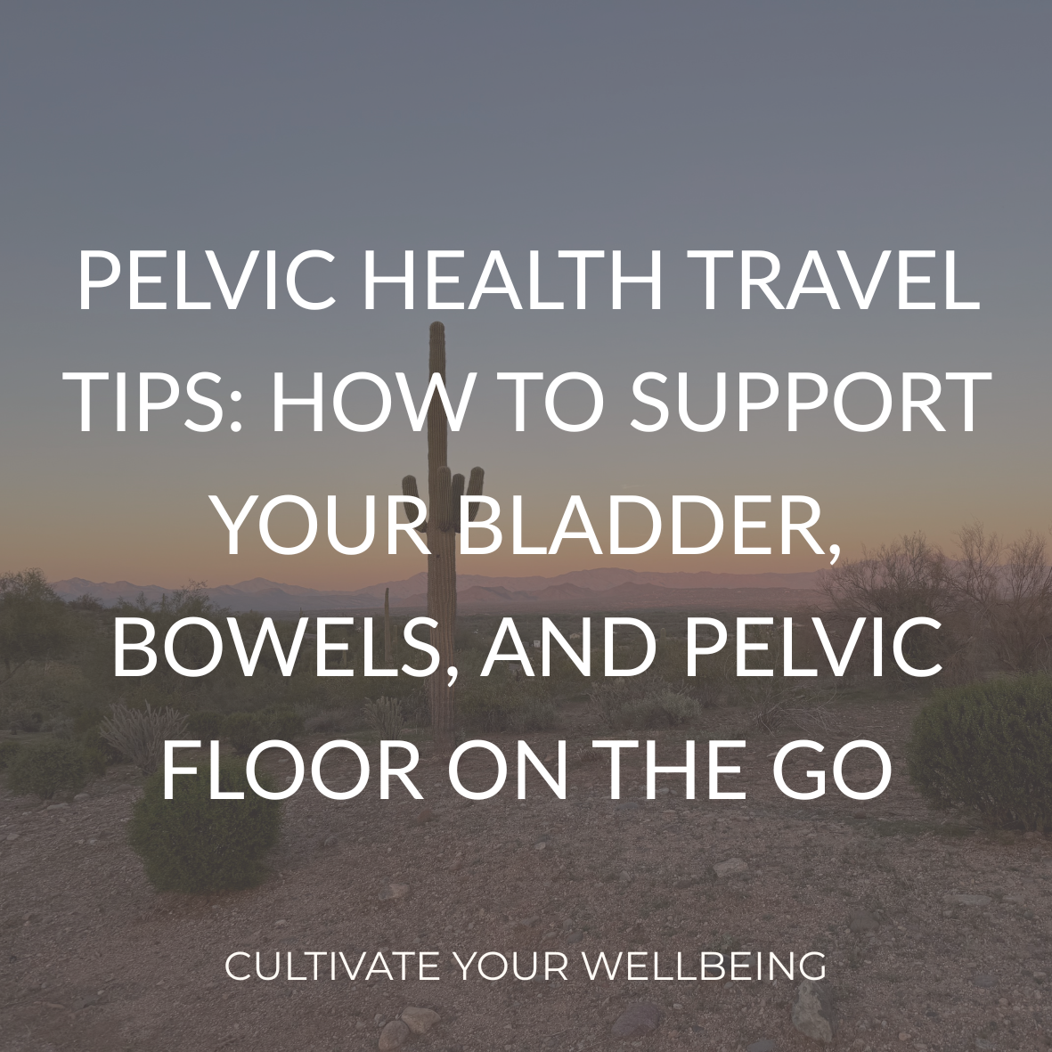 Pelvic Health Travel Tips: How to Support Your Bladder, Bowels, and Pelvic Floor on the Go