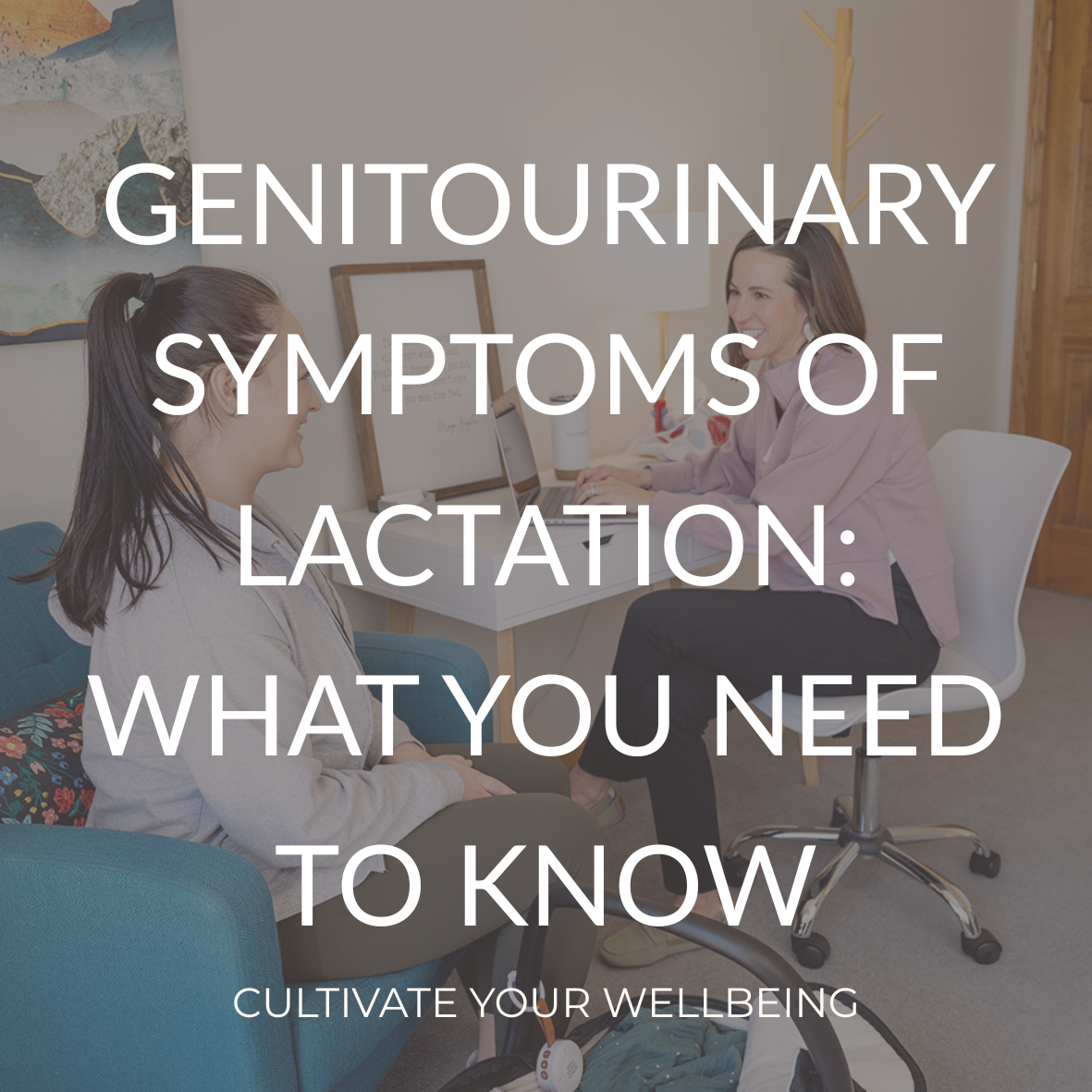 Genitourinary Syndrome of Lactation: Vaginal Dryness, Pain with Intimacy, and Pelvic Floor Support
