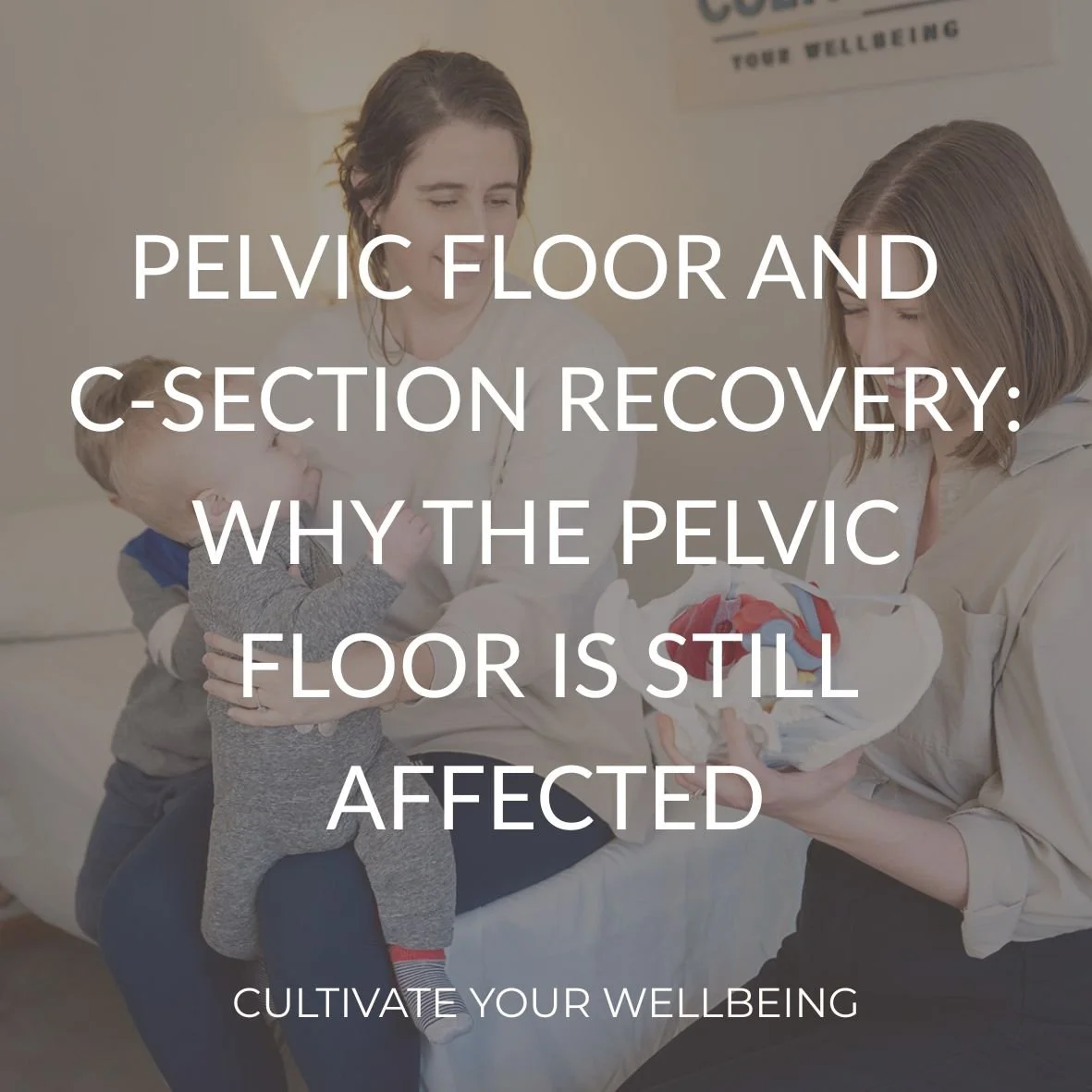 Image of Pelvic Therapist at Cultivate Your Wellbeing in Mequon and Brookfield educating patient on Pelvic Floor and Csection Recovery  with overlay of blog title.
