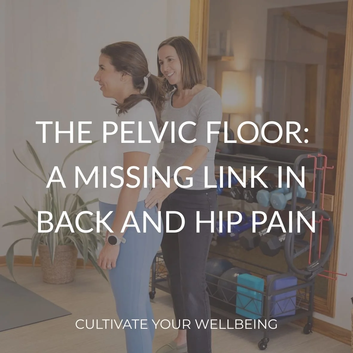 The Pelvic Floor: A Missing Link in Back and Hip Pain