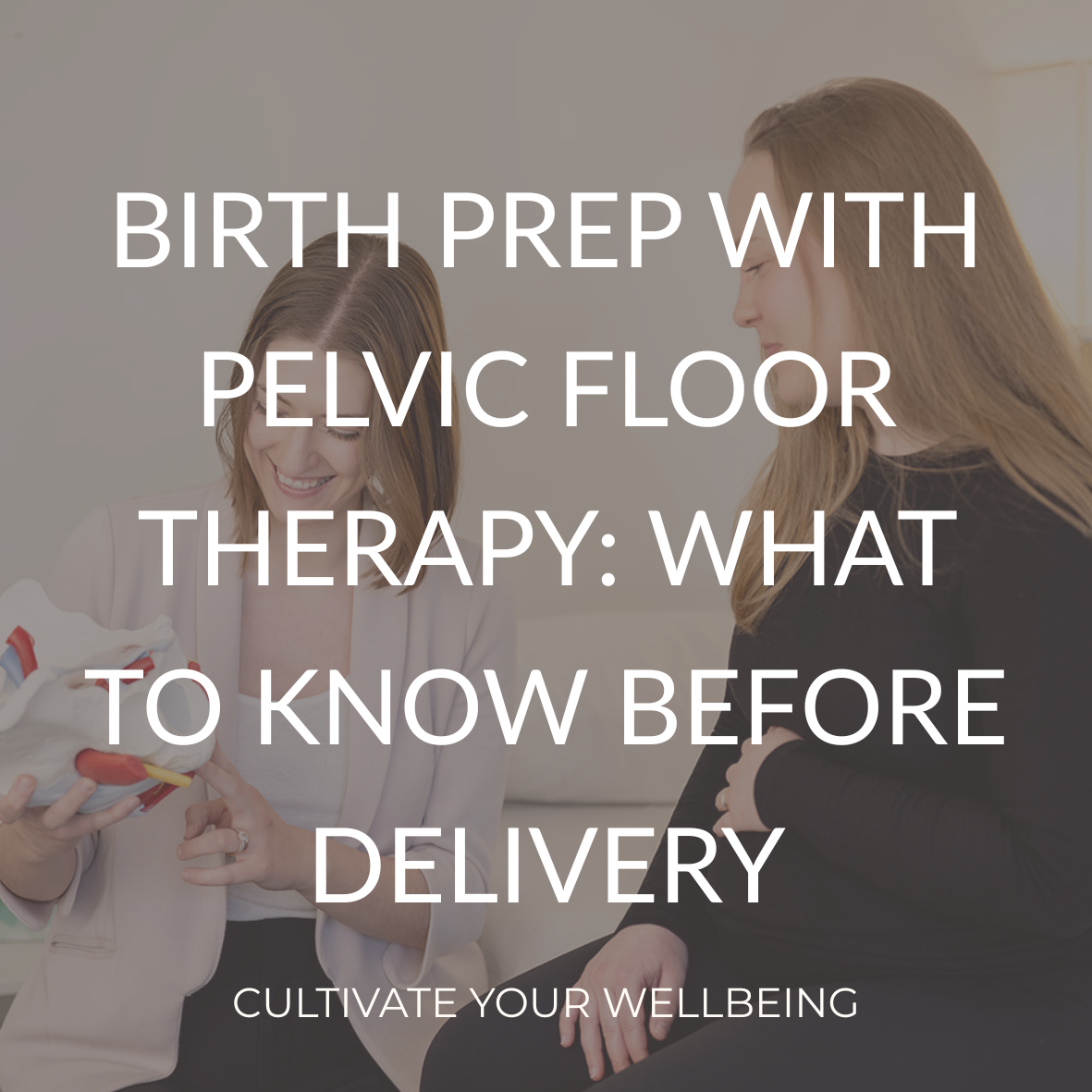 Pelvic health physical therapist educating a pregnant patient with a pelvic model for a blog about birth prep and pelvic floor therapy in Mequon and Brookfield.