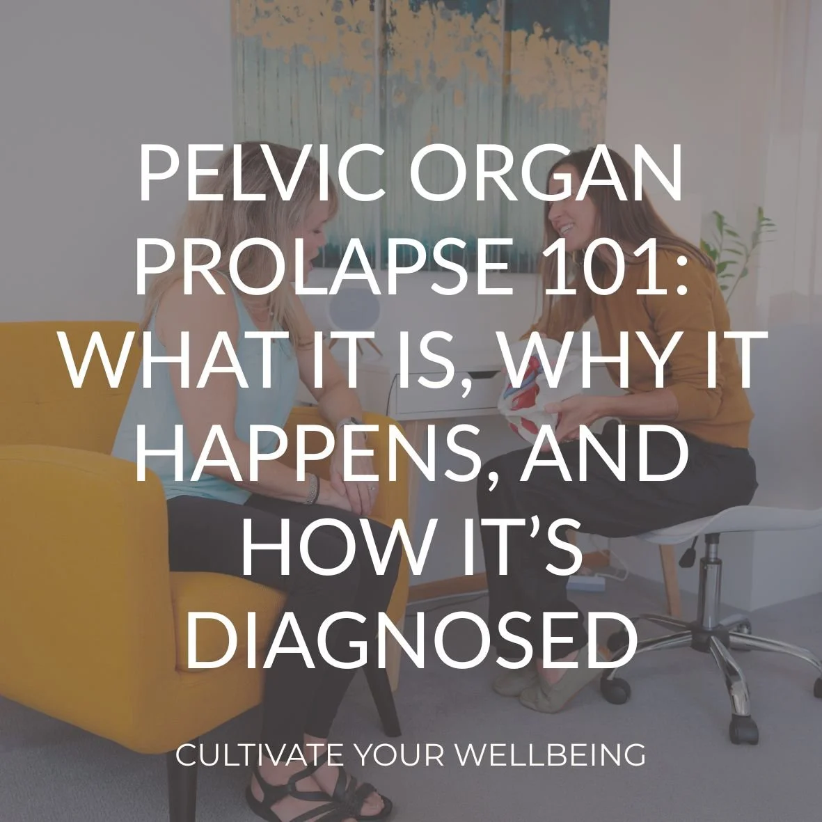 Pelvic health physical therapist educating a patient with a pelvic model with title overlay for a blog about pelvic organ prolapse symptoms, causes, and diagnosis.