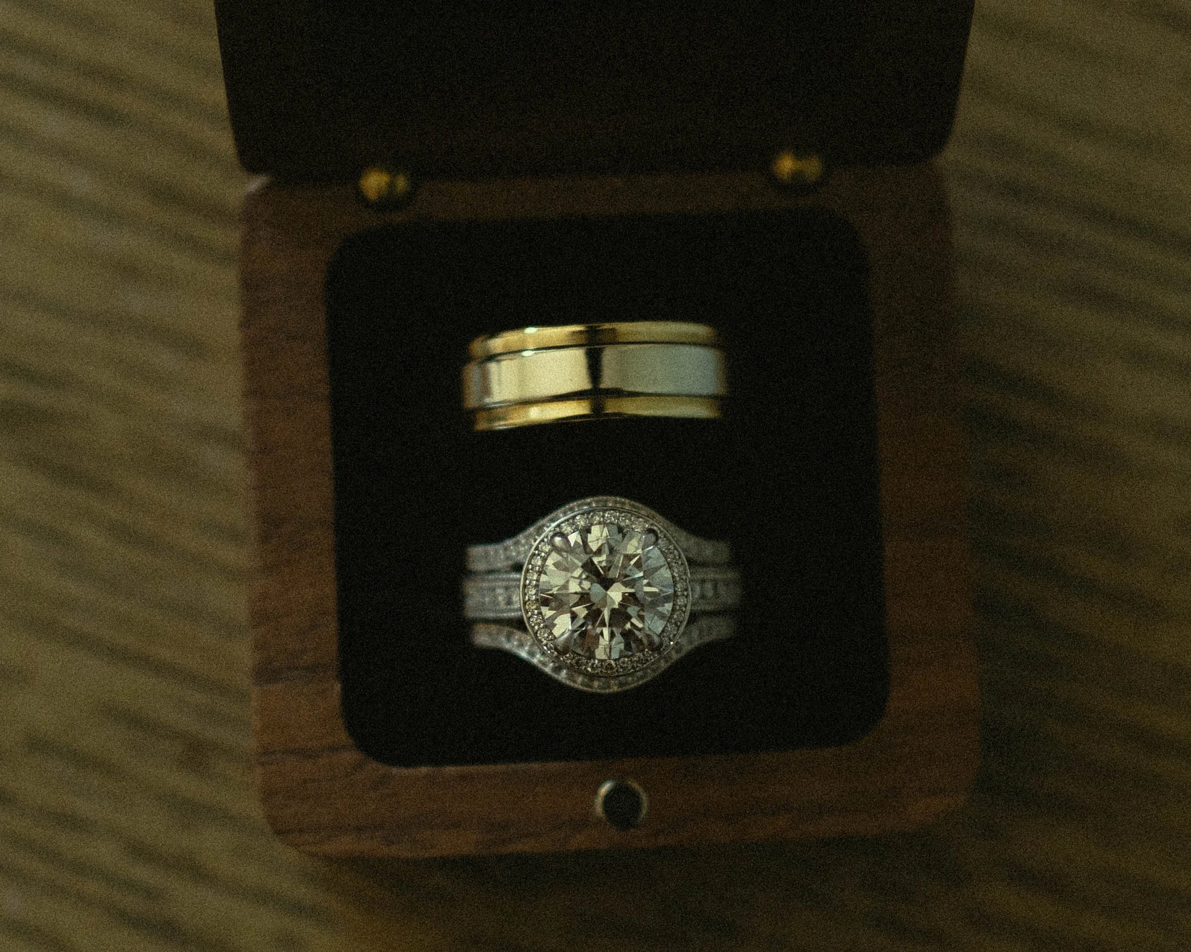 DSC05515-2.jpg