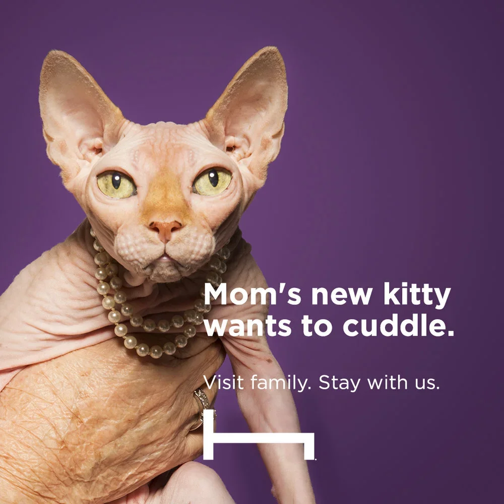 Visit+Don't+Stay+2.webp