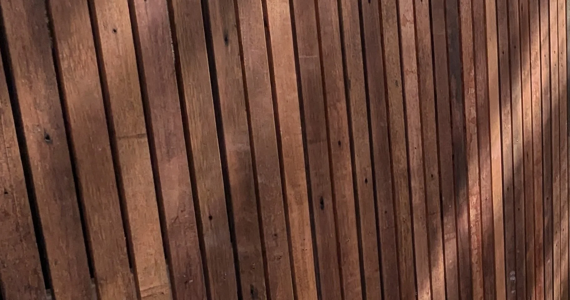 edited timber.jpg