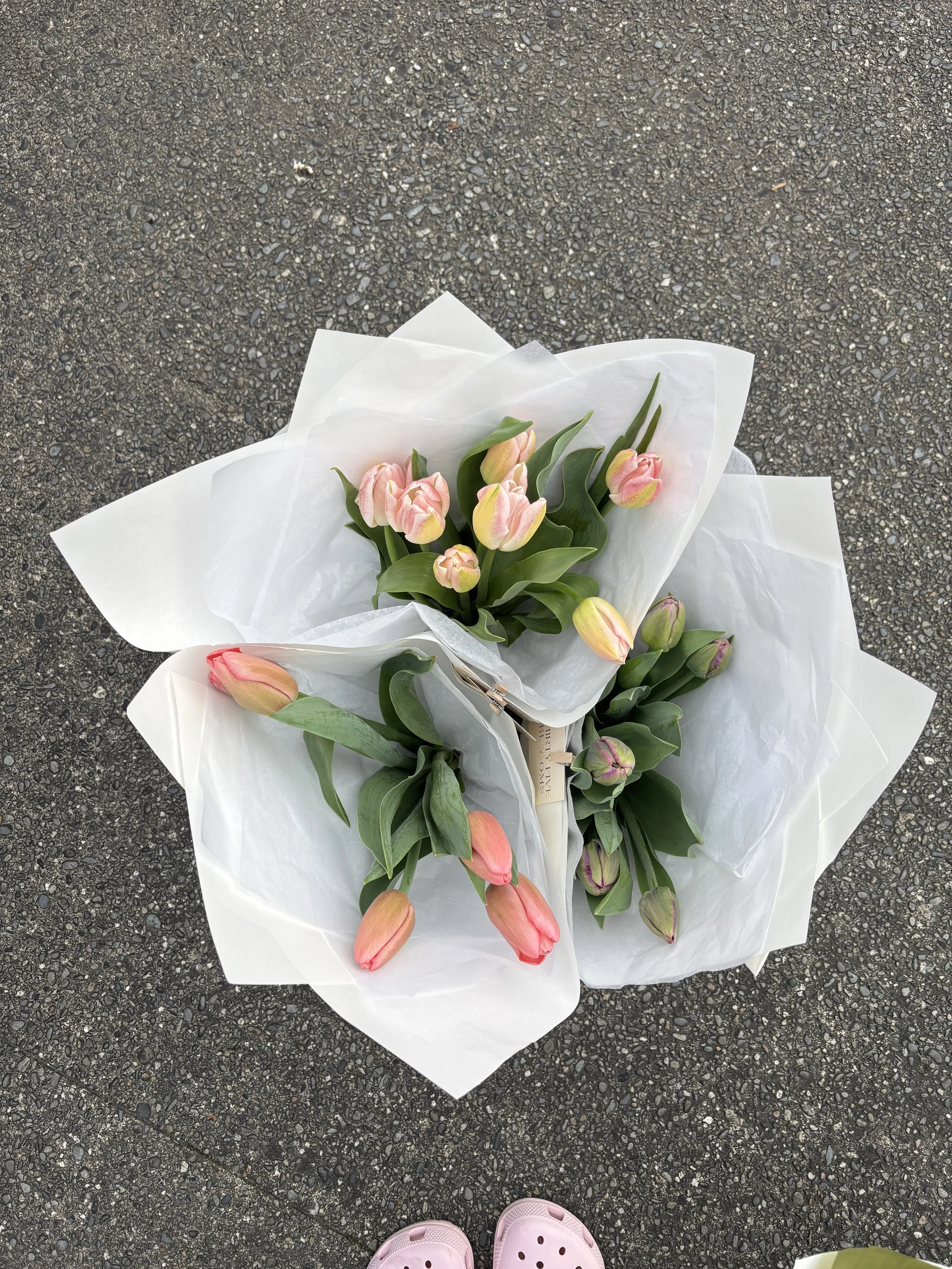 Spring Tulip Bunch | MOTUEKA ONLY