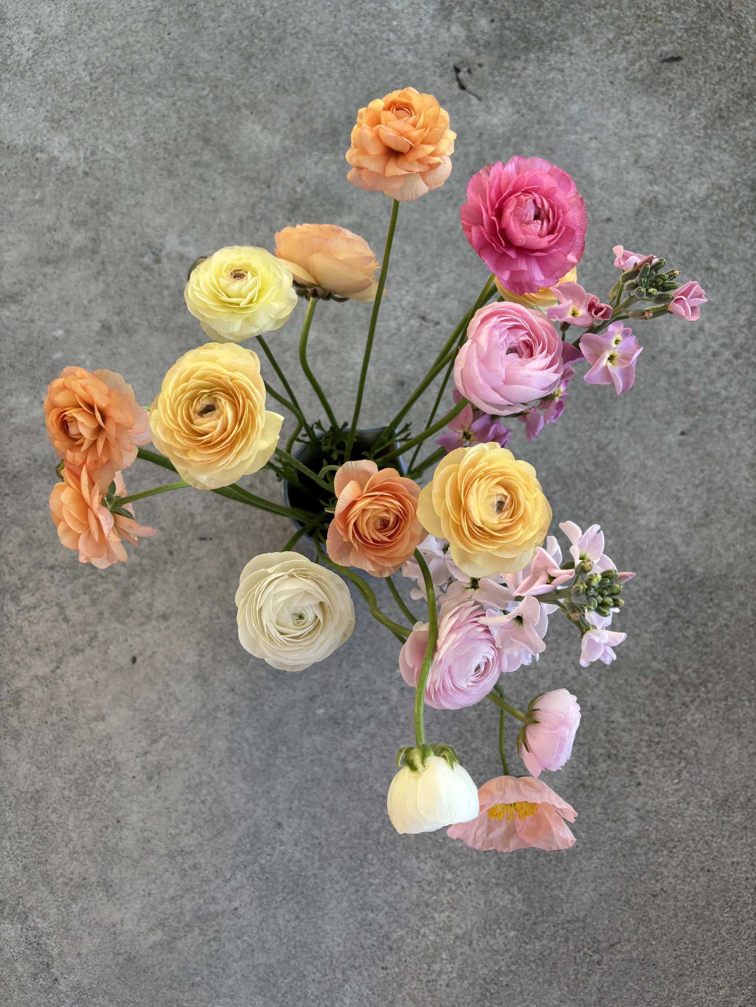 A bouquet of colorful ranunculus flowers in shades of yellow, orange, pink, and white against a gray concrete background.