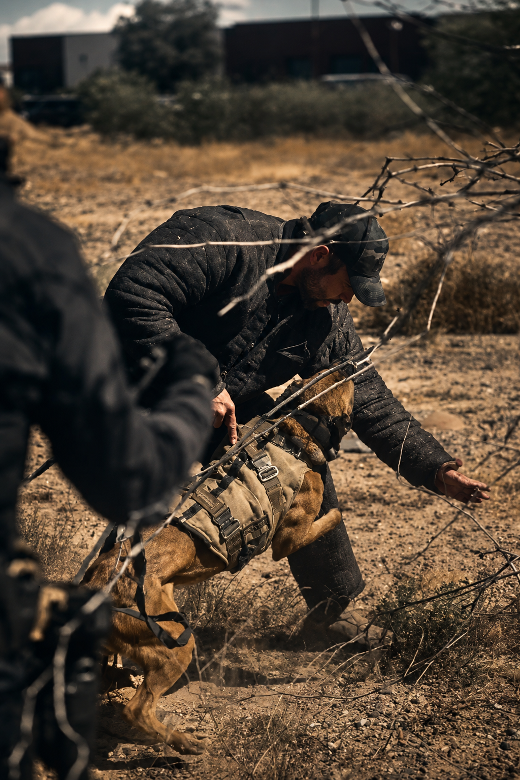 K-9 handler guiding a working dog through a wire obstacle in a dry, desert training environment.