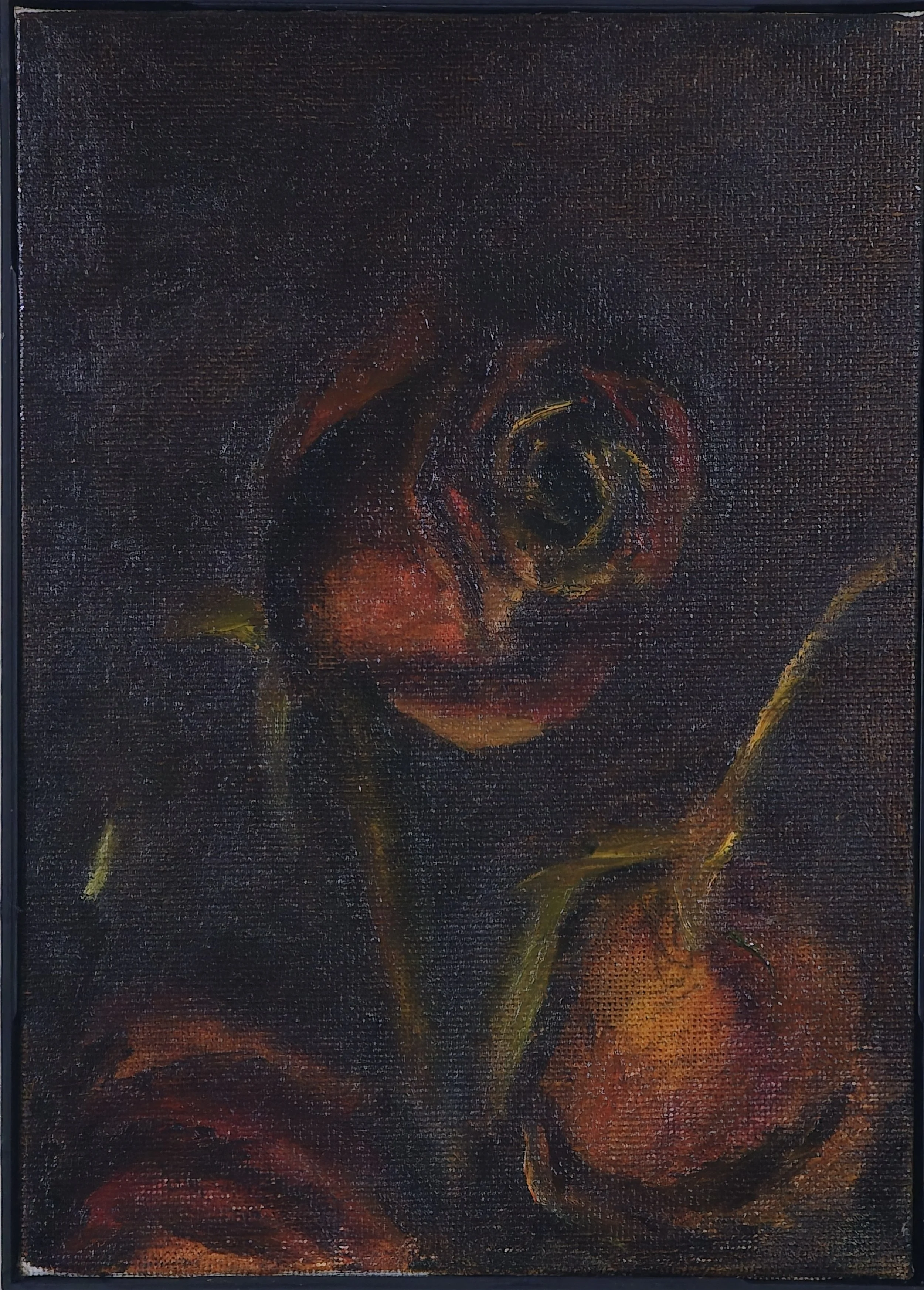 Decayed Rose in Candlelight II, 5 x 7 Oil on Canvas, 2026