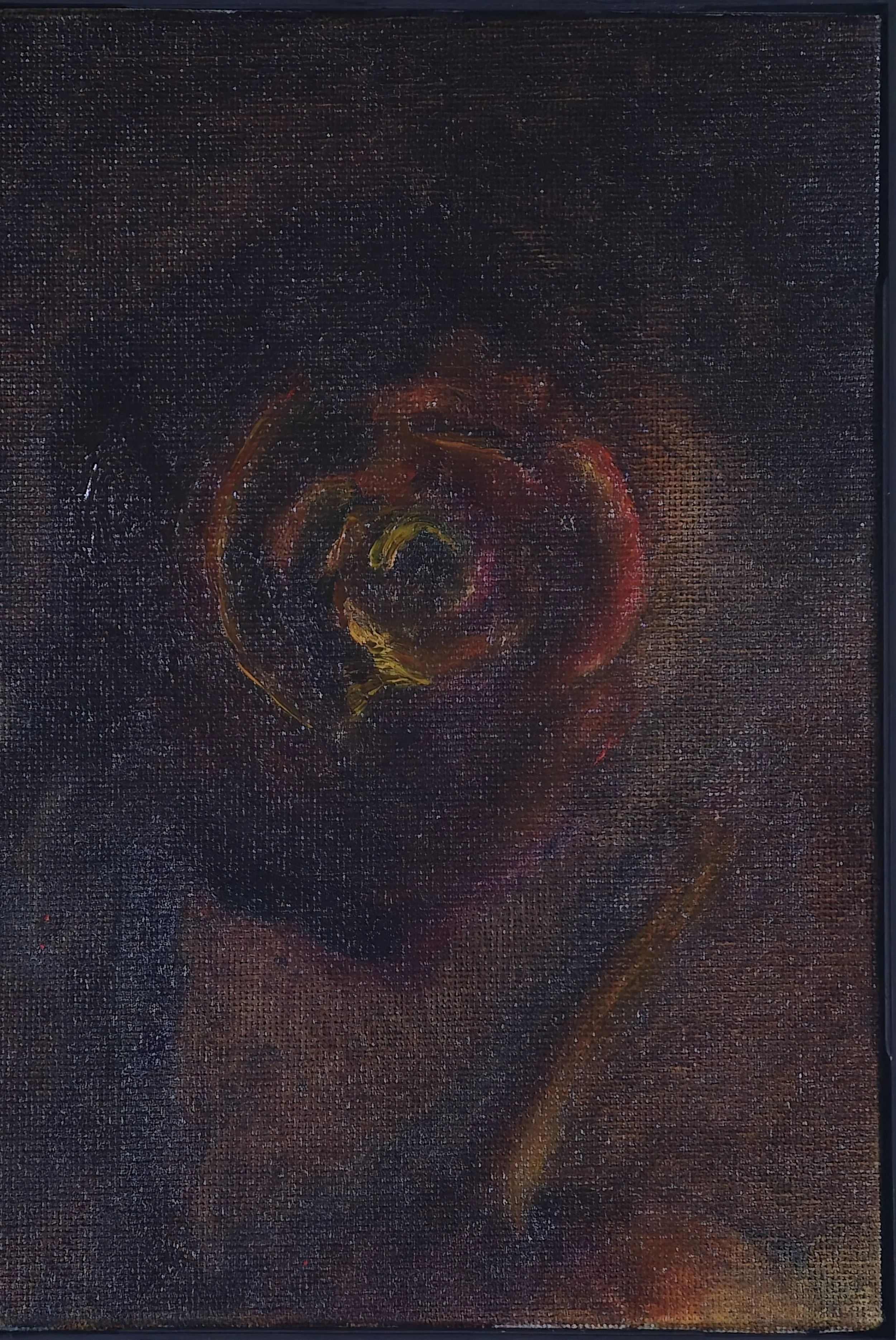 Decayed Rose in Candlelight I, 5 x 7 Oil on Canvas, 2025