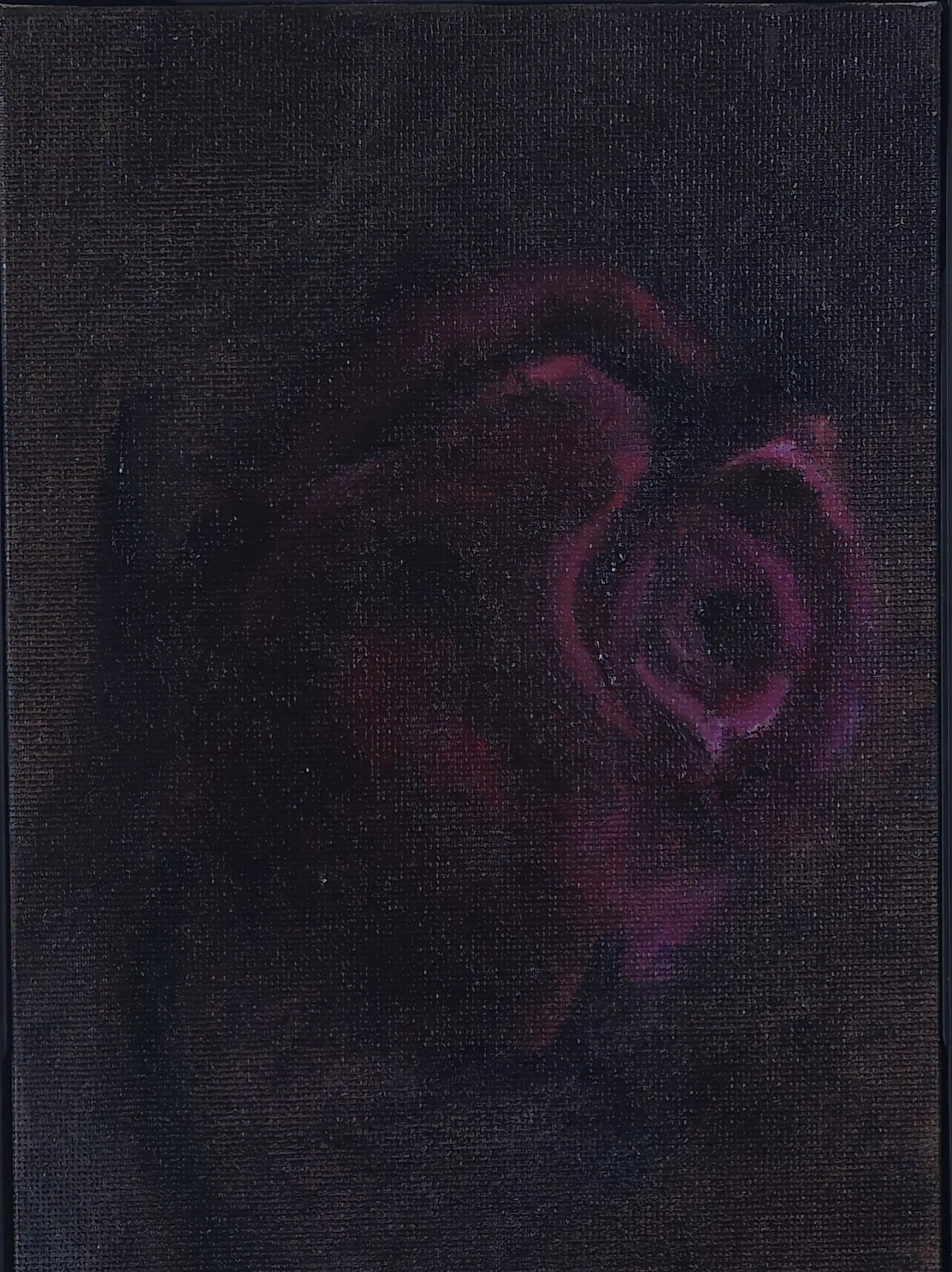 Decayed Rose on a Rainy Day, 5 x 7 Oil on Canvas, 2026