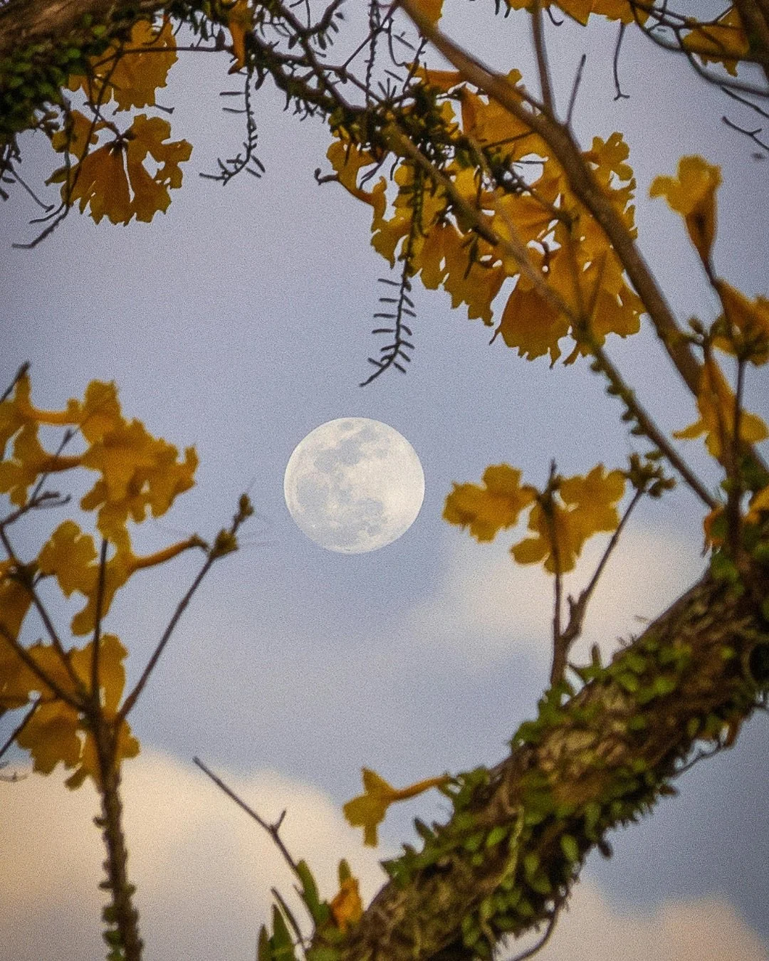 Full Moon in Aries: What Are You Afraid There Won’t Be Enough Of?