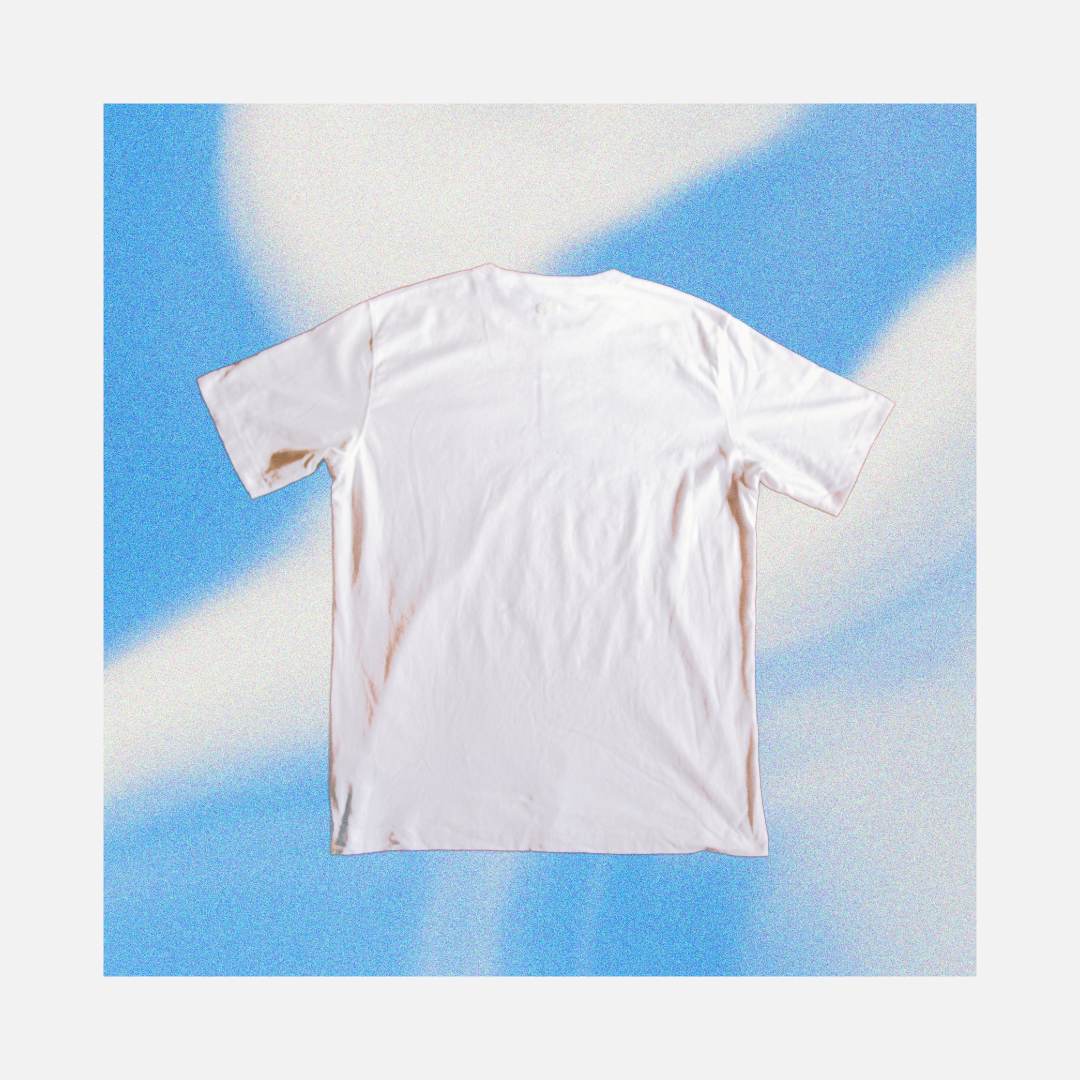 Untitled - June 16, 2026 at 15.17.17-5.png