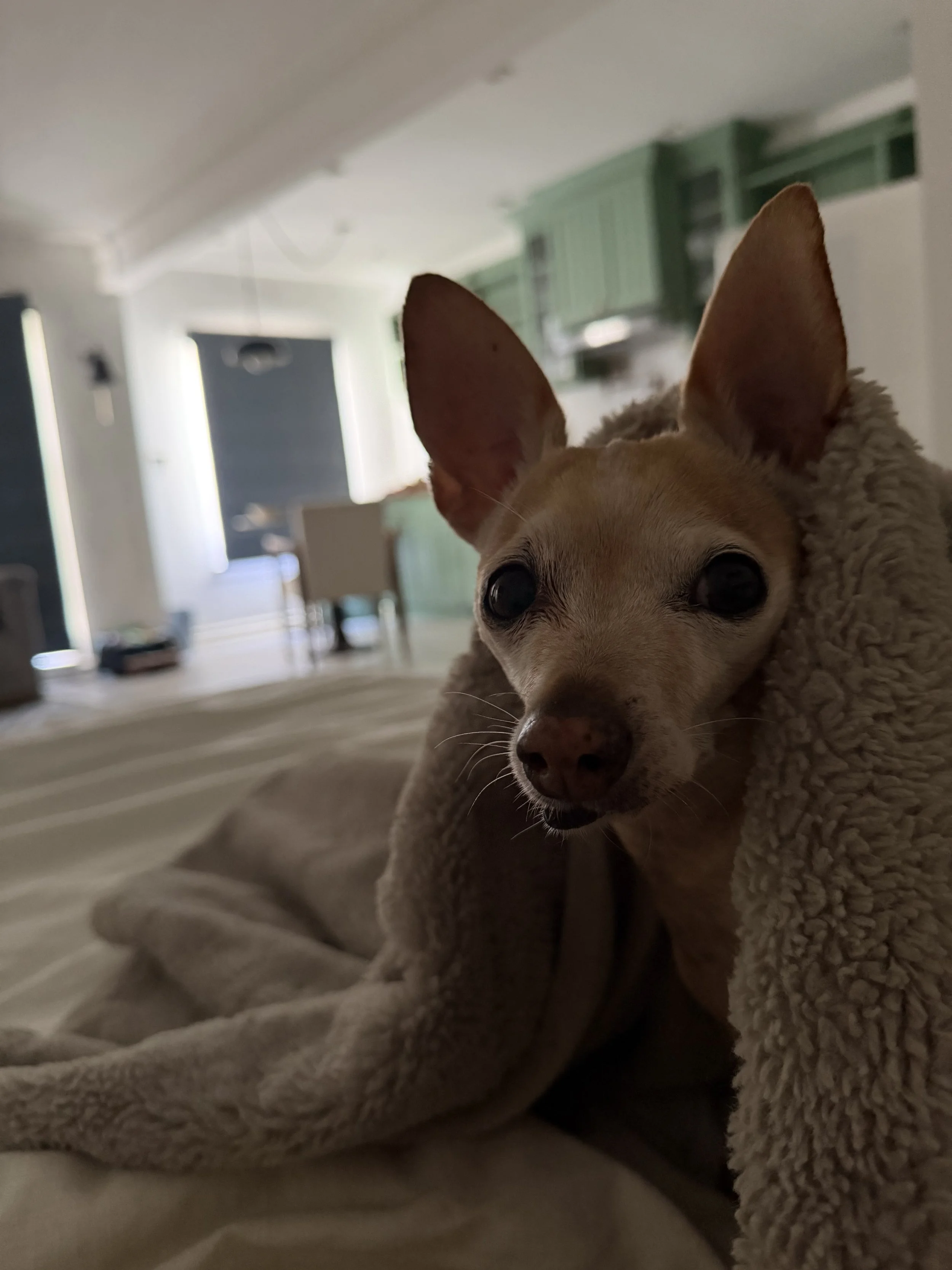IMG_0048.jpeg