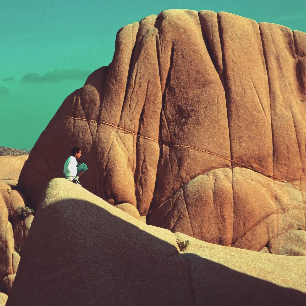 Joshua Tree National Park