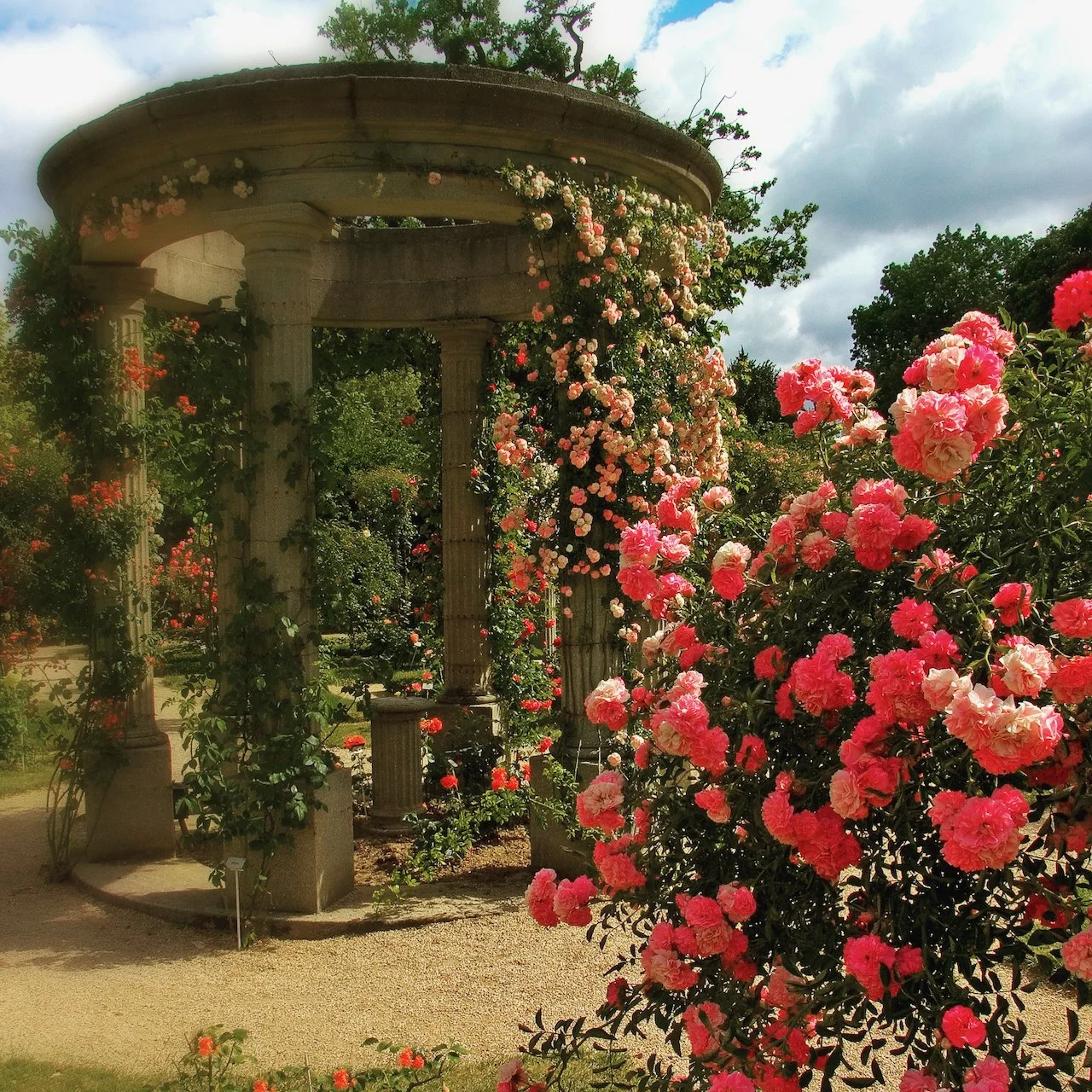 Rose Garden