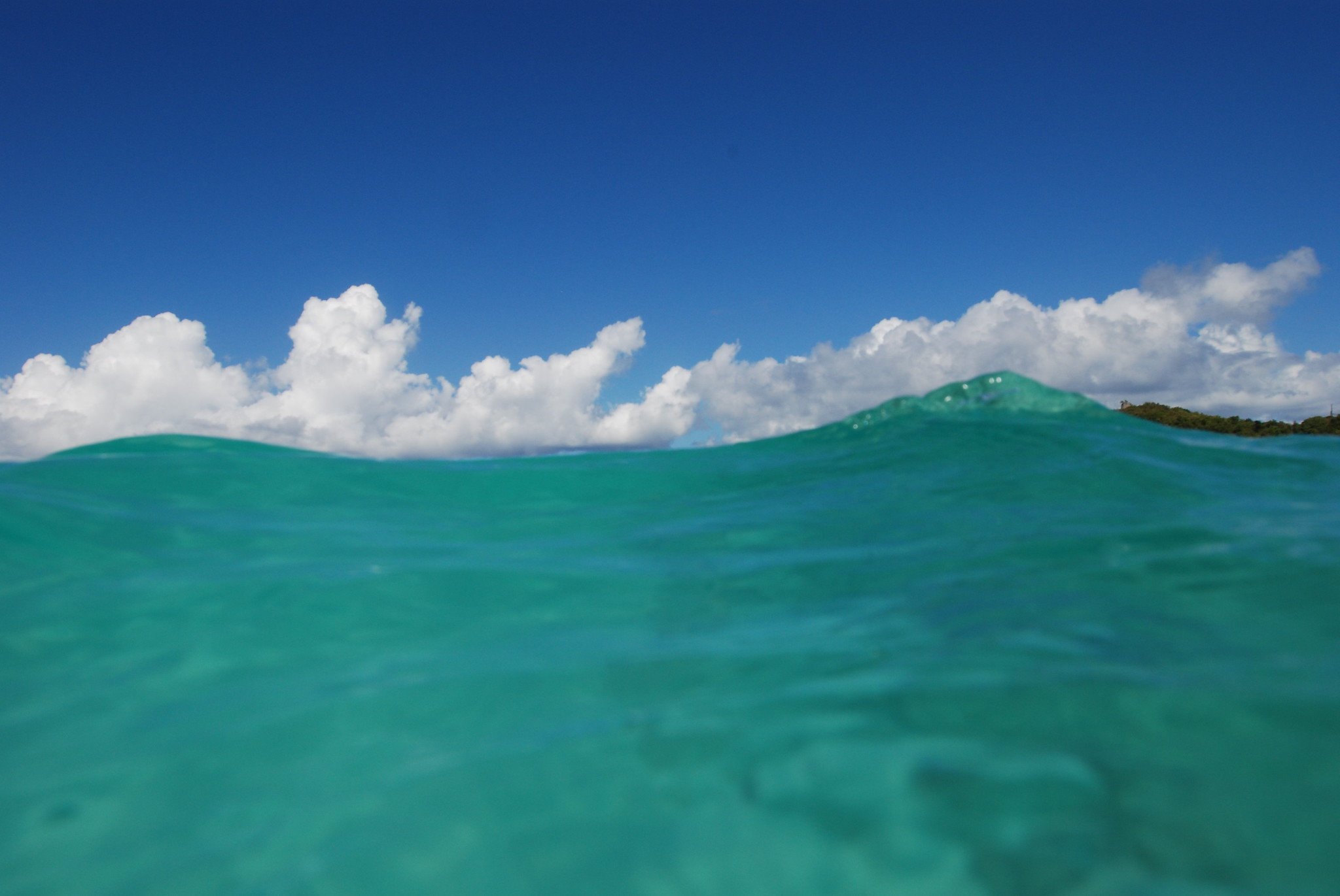 In the ocean