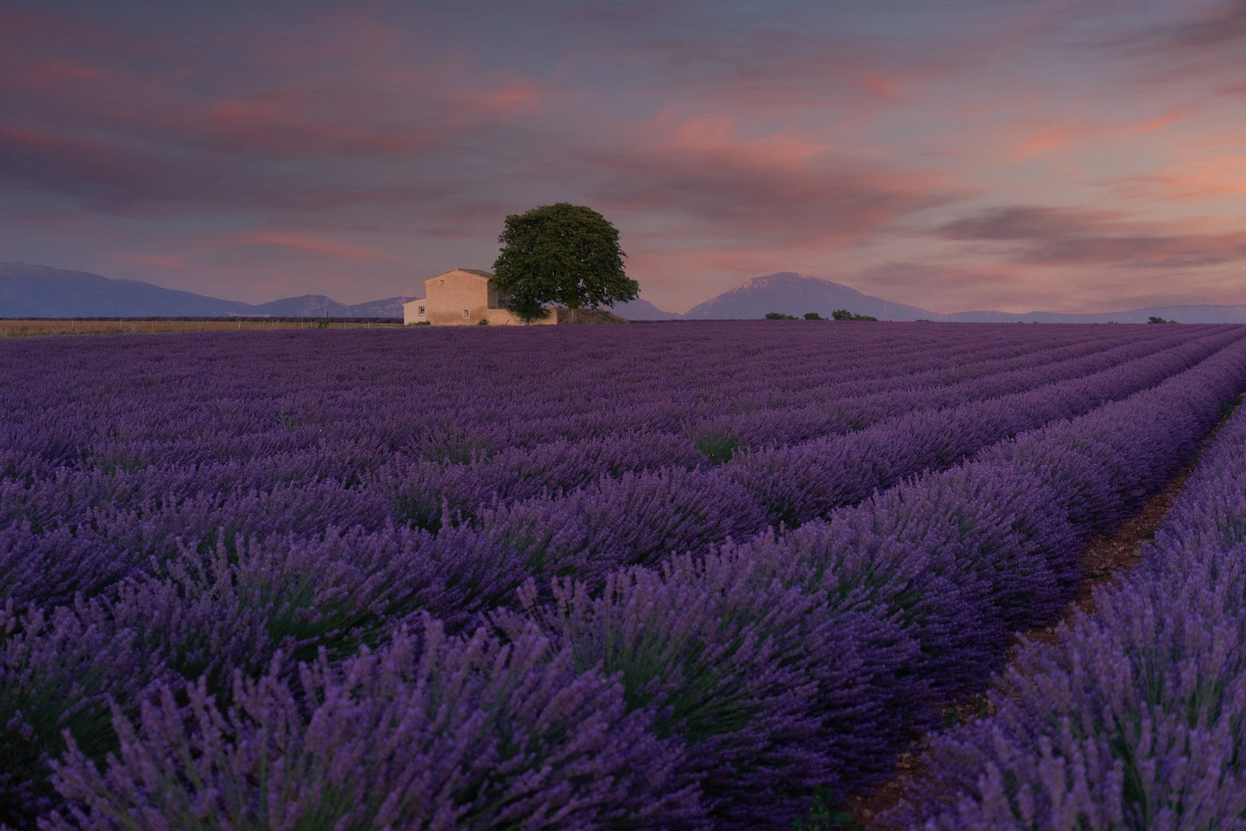 02a_LisaO-Provence2014.jpg