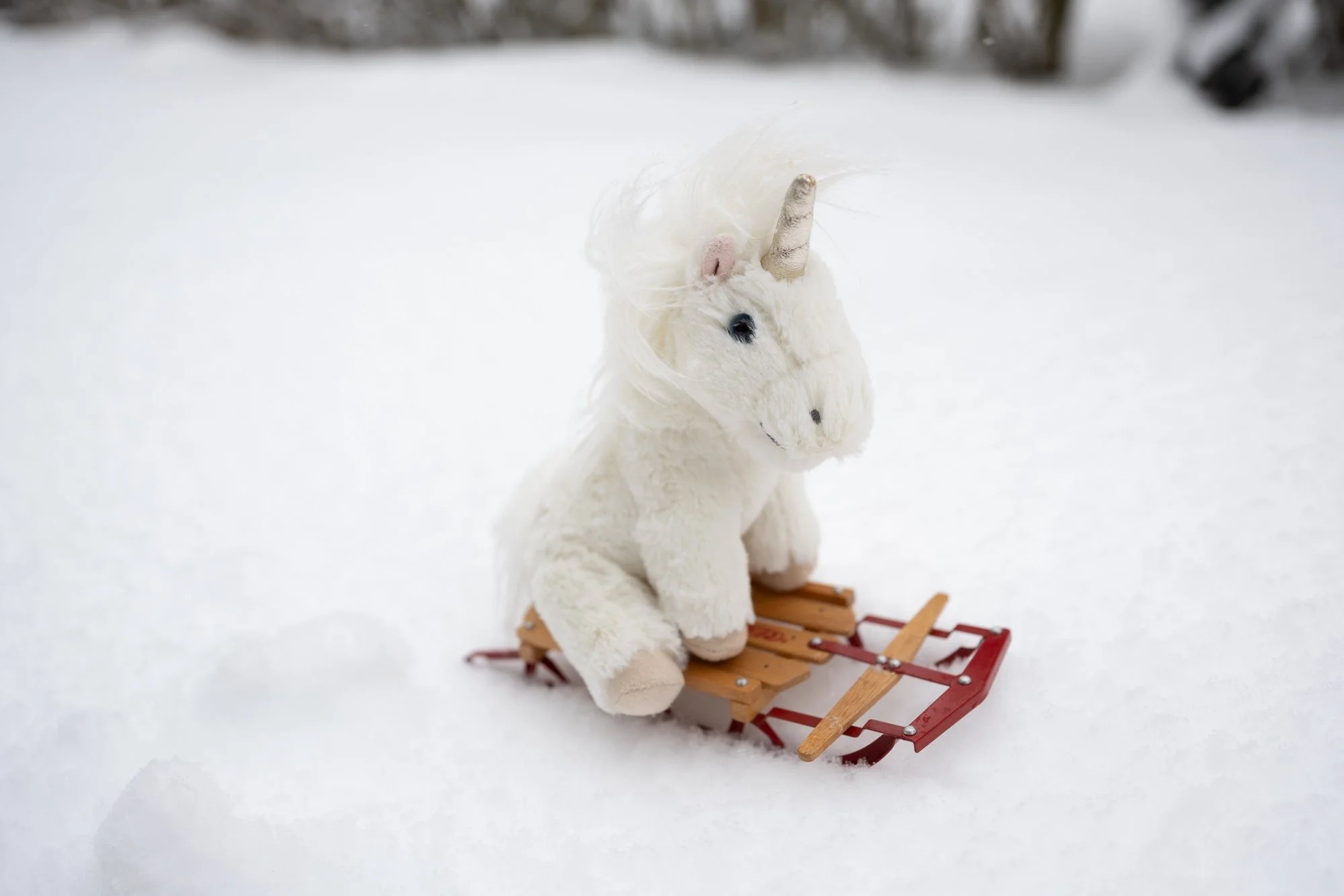 Unicorn in the snow