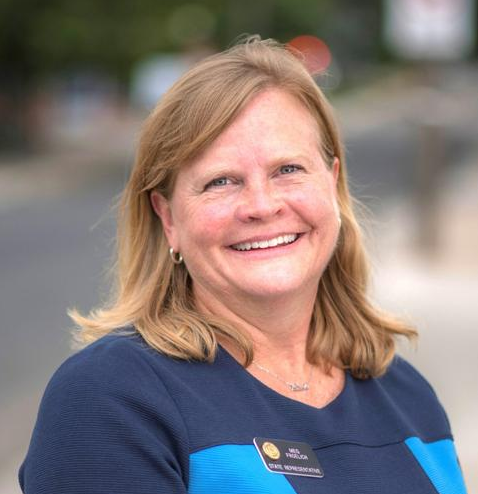 Colorado State Representative Meg Froelich, District 3.png