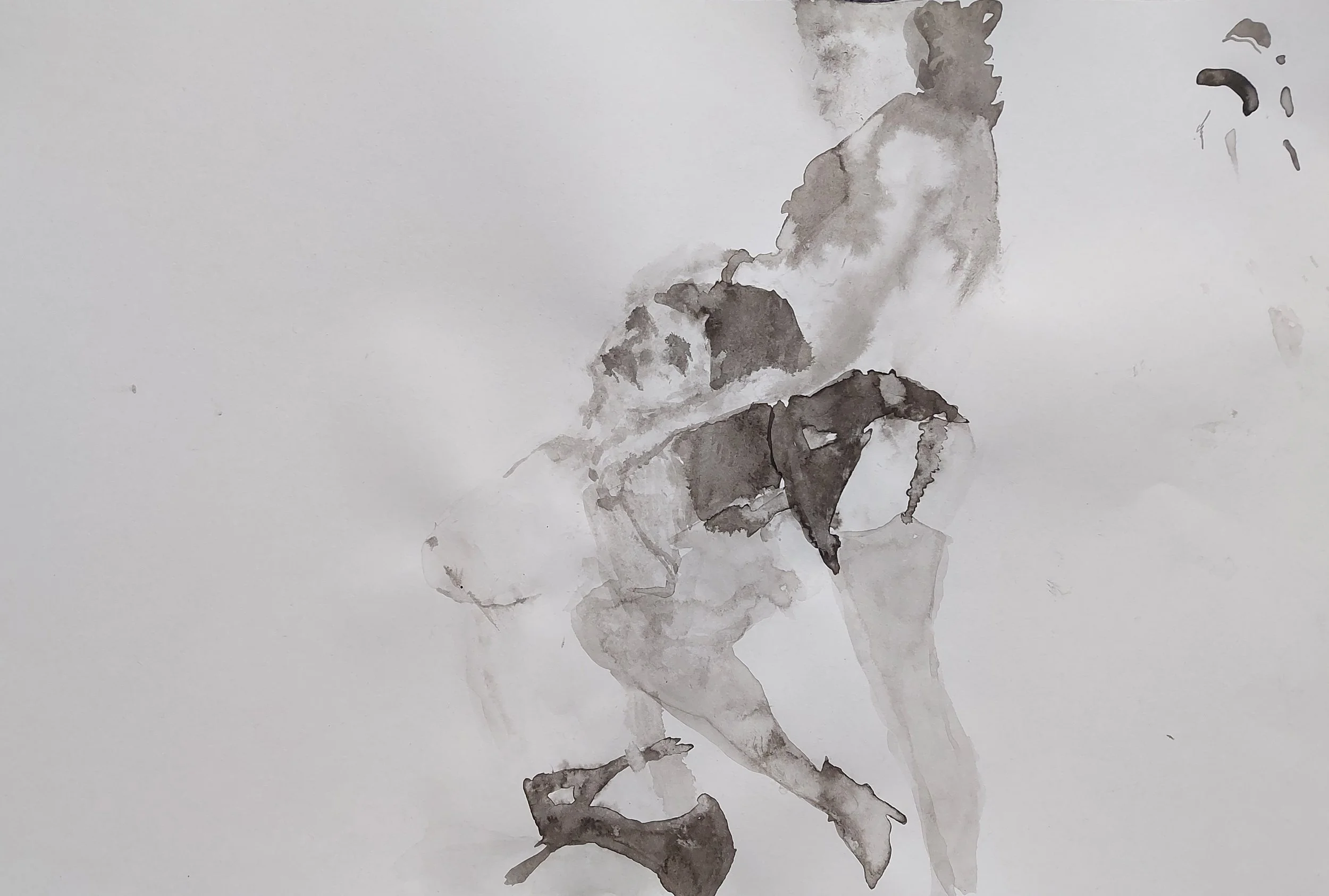 'Wrestling Fetish Mary & Mae' - 
Ink on Paper