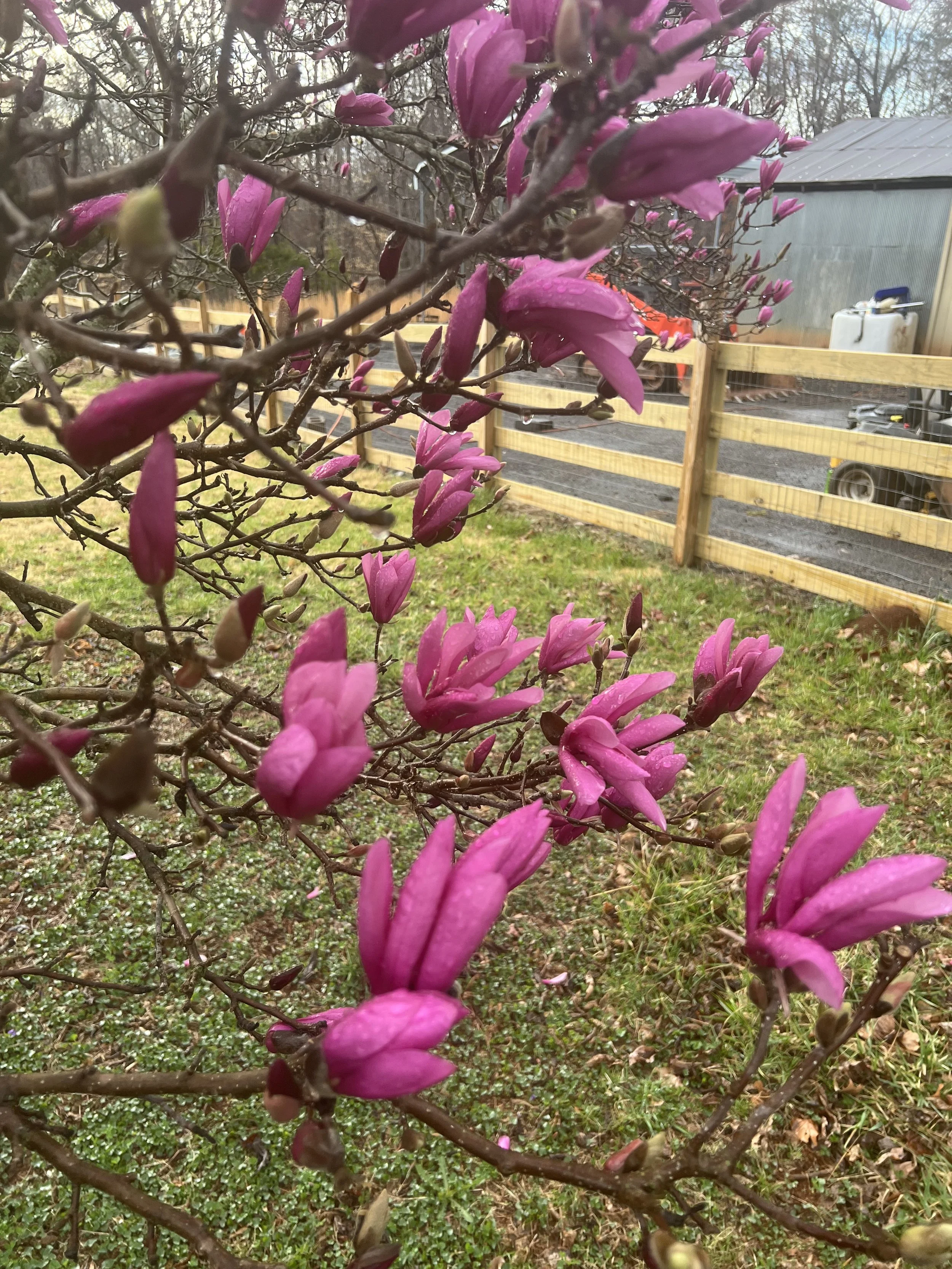 IMG_7506.jpeg