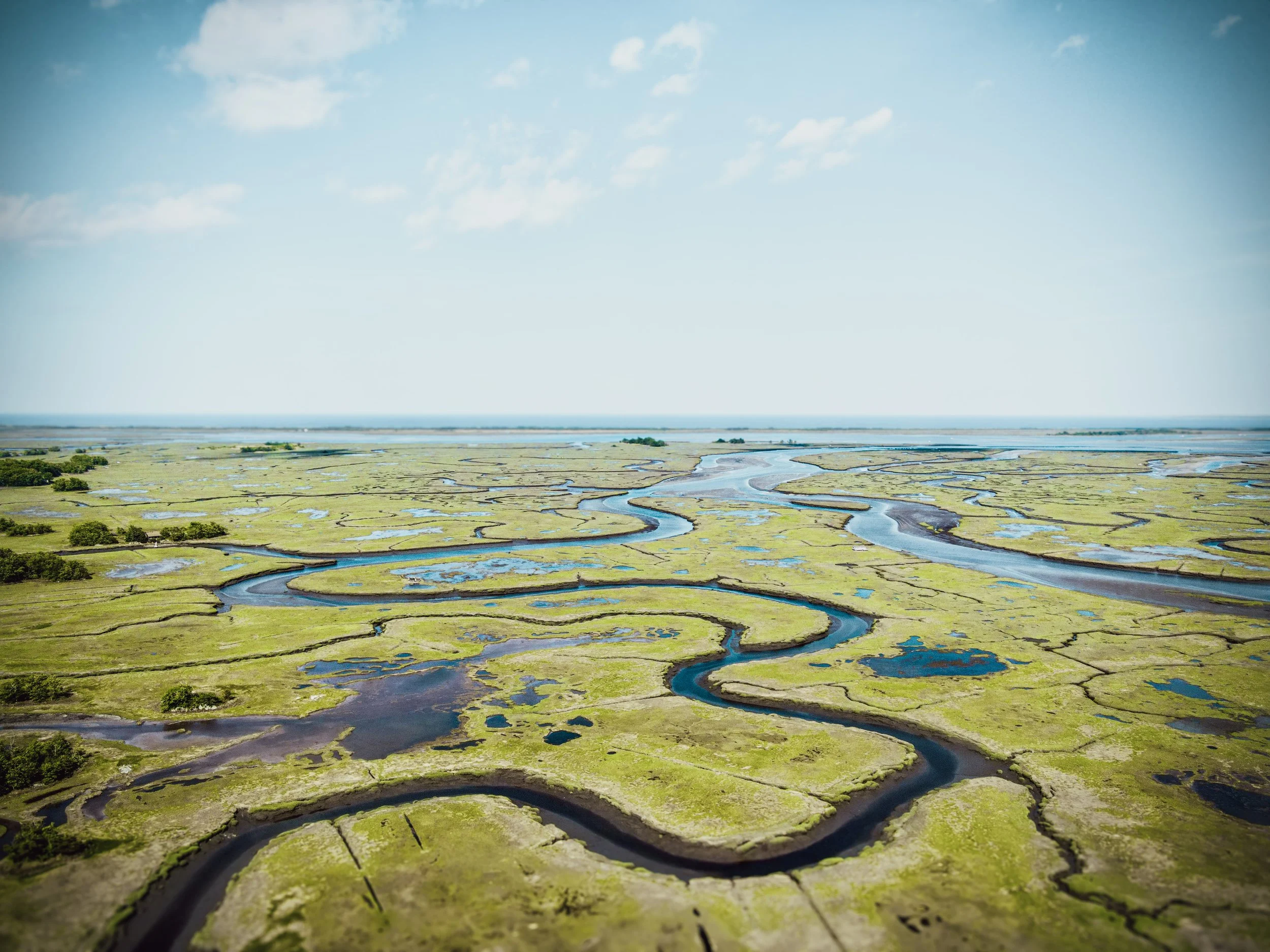 rowley_great_marsh.jpg