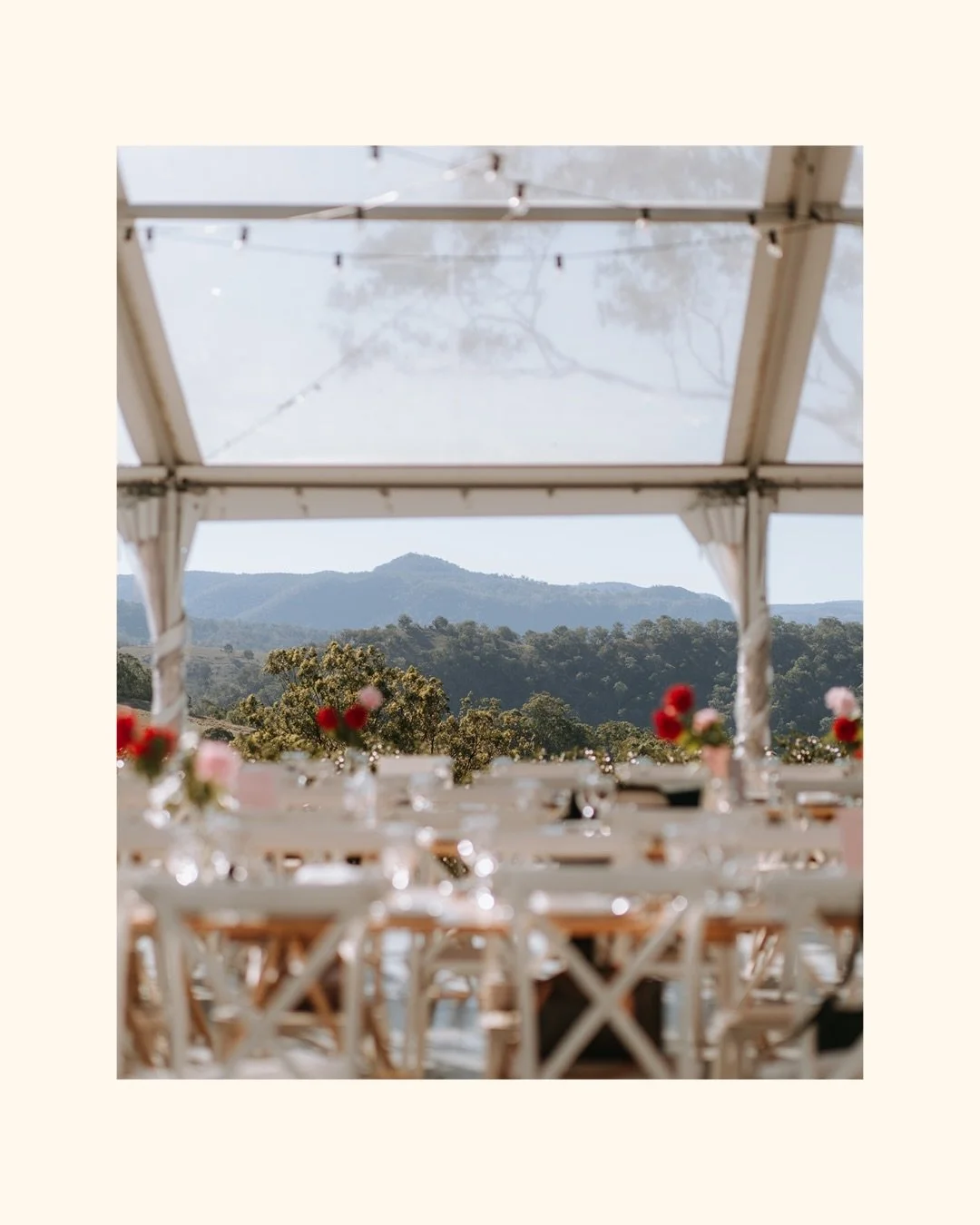 From cocktail hour to party time @dryridgeestate for Angela &amp; Brendan 🍸