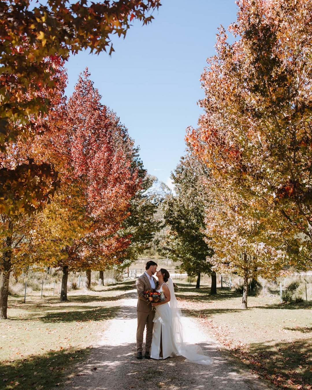 An intimate gathering to celebrate the love of Jammie &amp; Jarrod amongst the stunning Australian landscape 🧡

Venue: @lawsonpark_celebrations 
Celebrant: @pennycasciocelebrant 
Florist: @bouquetsbydesignlithgow 
HMUA: @katlouise_makeup 
Caterer: @