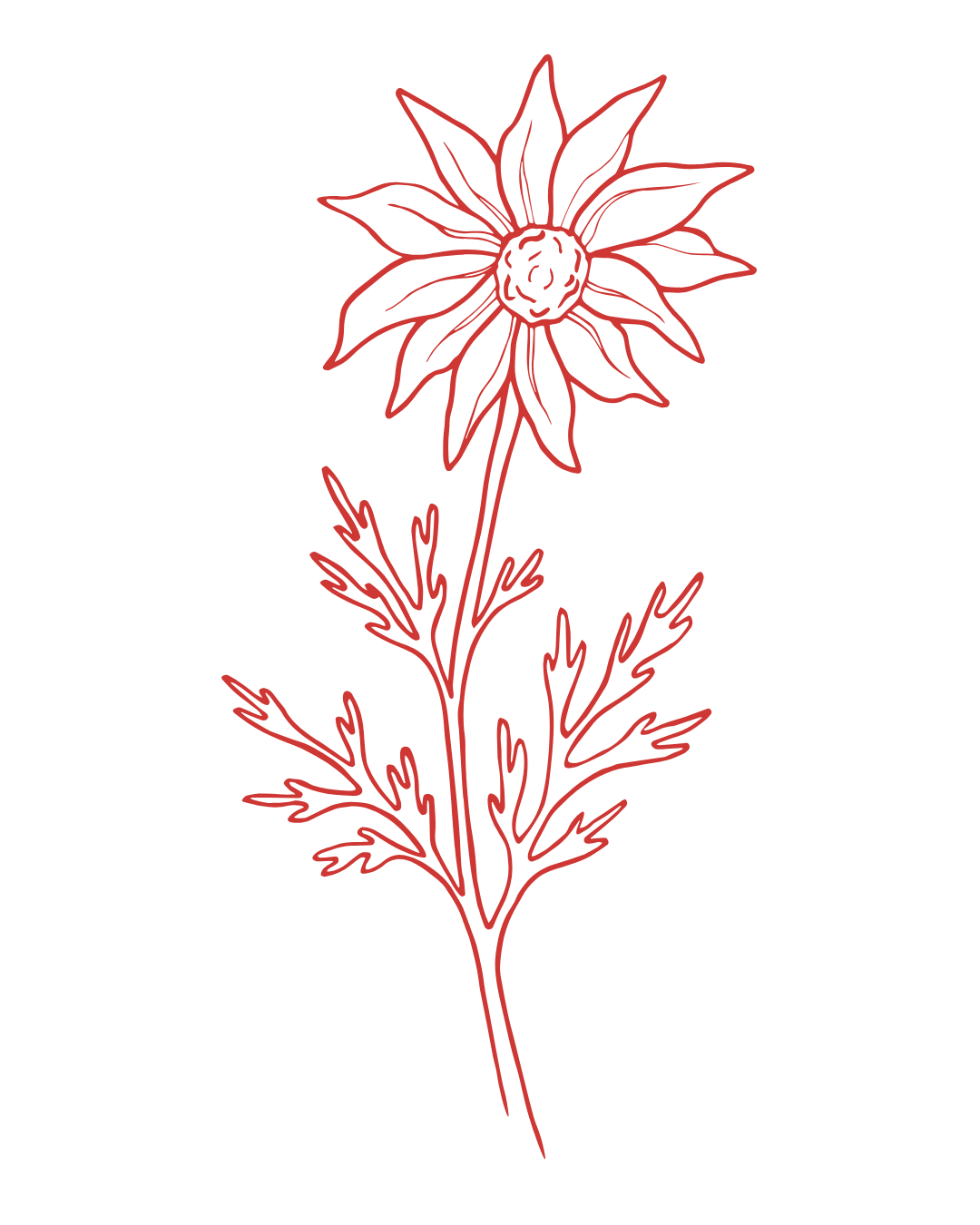 Red line drawing of a flower with pointed petals, a central circular core, and elongated chevron shaped leaves on a black background.