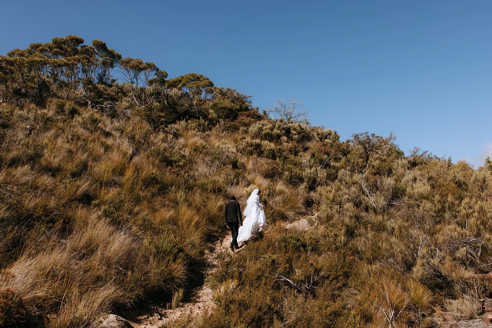 A bride and groom walking up a grassy hillside trail beneath a clear blue sky, surrounded by shrubs and small trees.