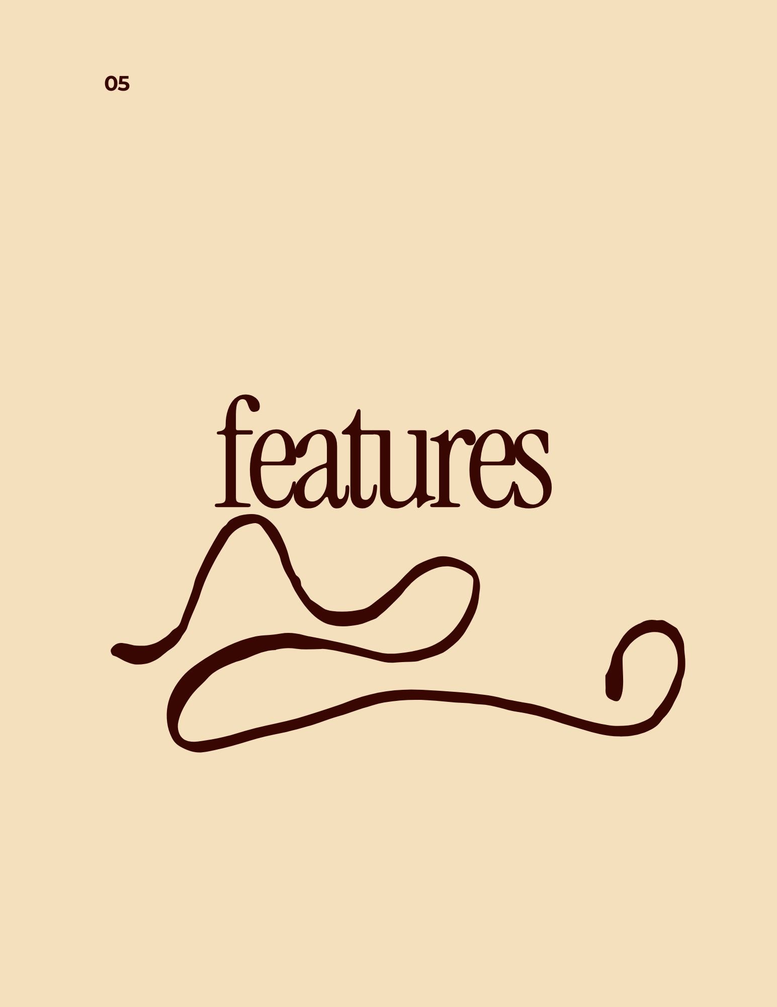 features.jpg