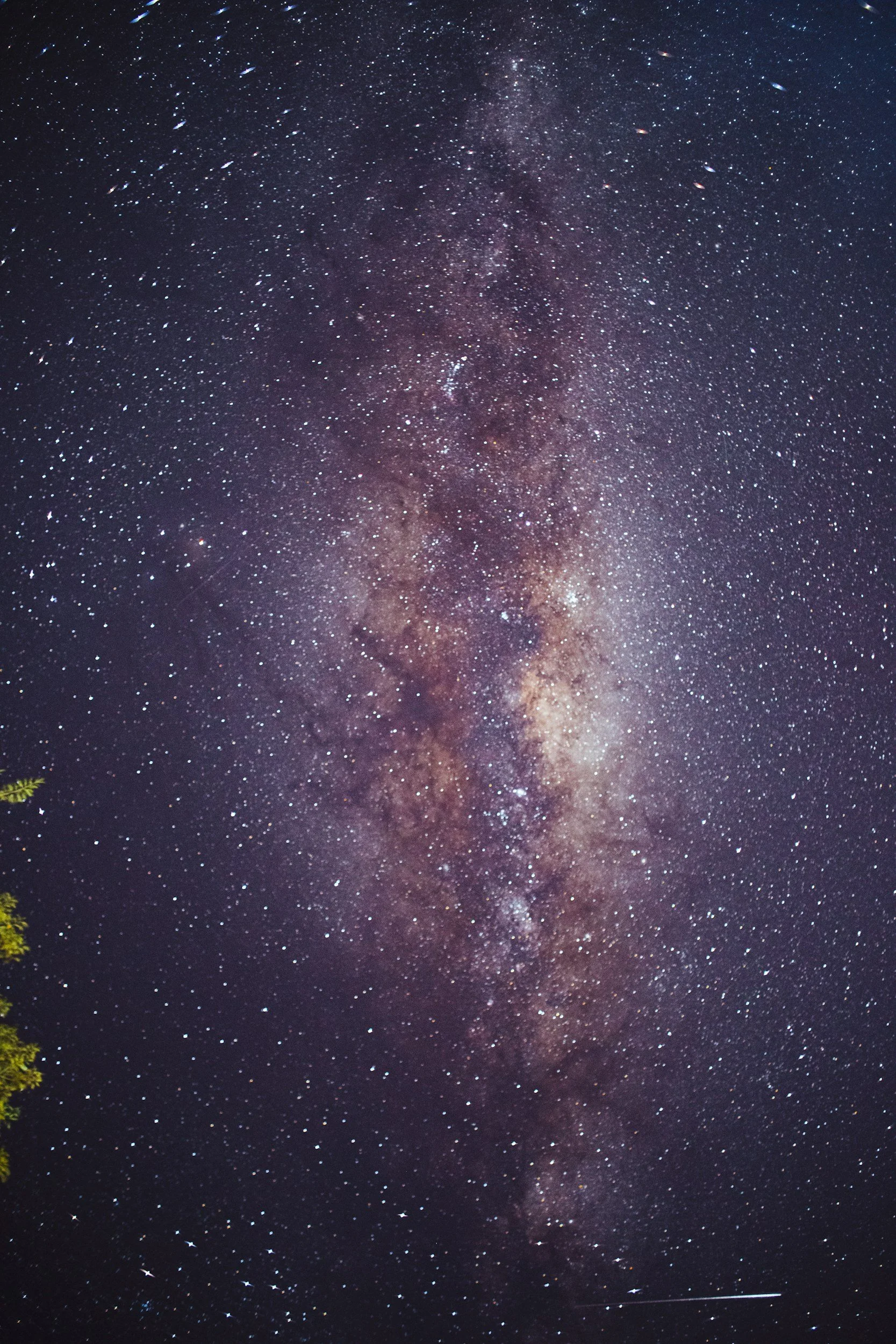 Night sky filled with countless stars and the Milky Way galaxy stretching across the sky, with a small portion of green tree visible in the bottom left corner.
