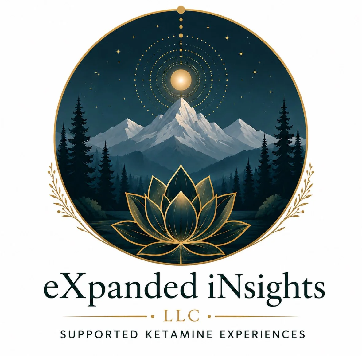 eXpanded iNsights llc