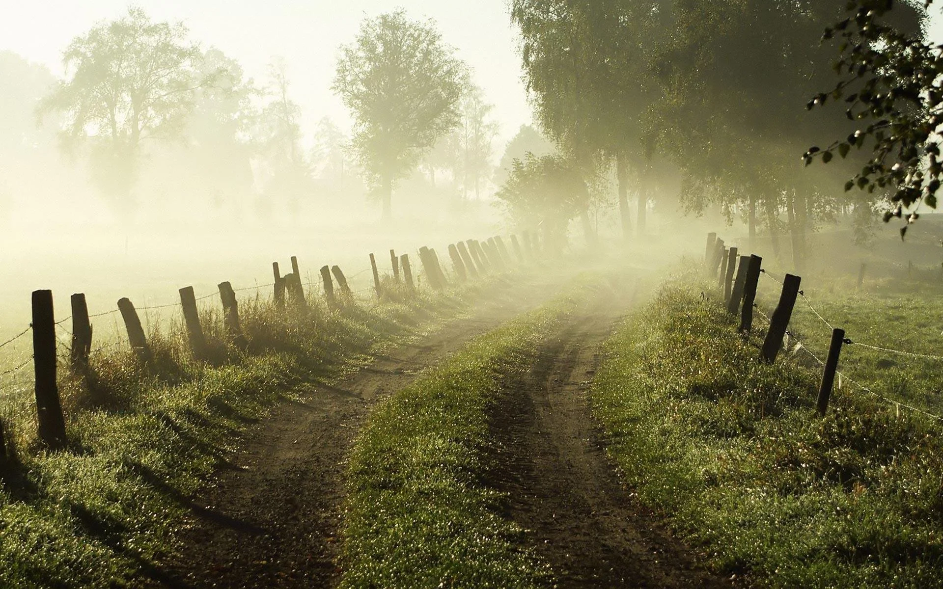 The Signs You Already Know (But Keep Explaining Away)